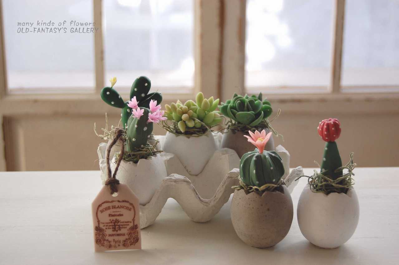 可愛い多肉植物 サボテン たまごモチーフポット Aセット T415 Oldfantasy 可愛い多肉植物 サボテン たまごモチーフポット Aセット T415 Oldfantasy