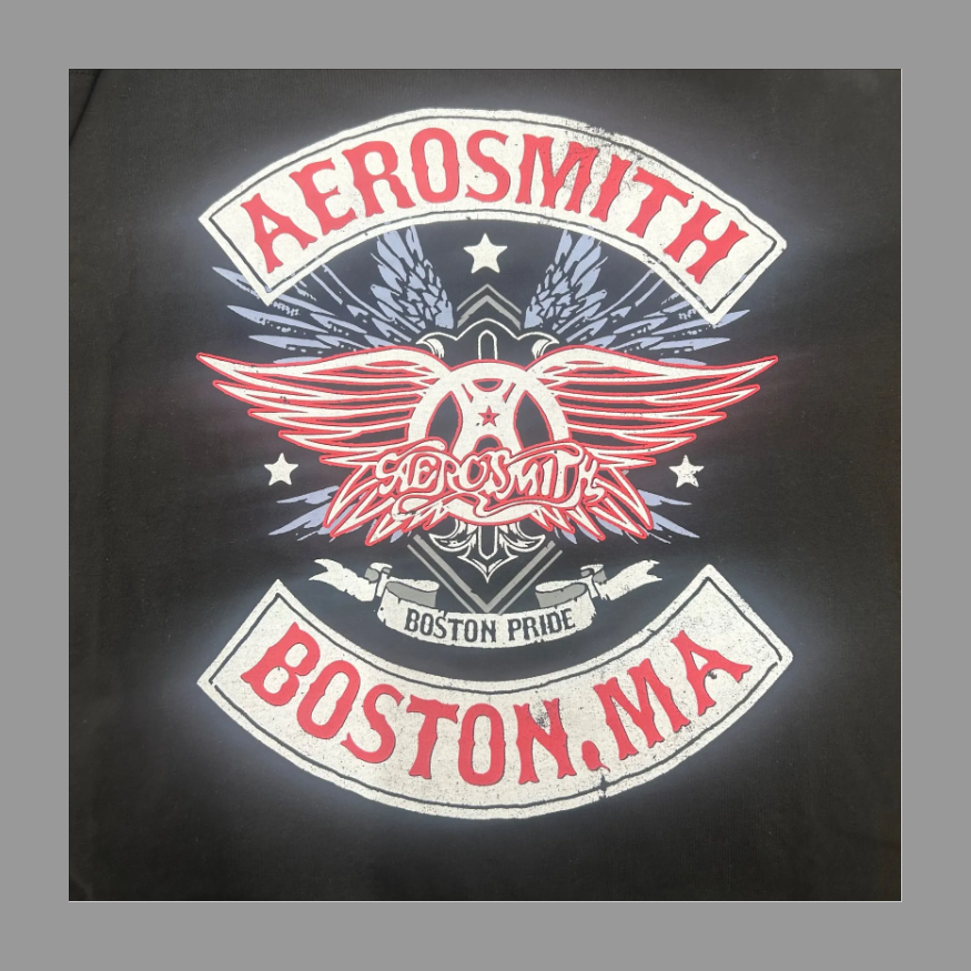 Aerosmith バンドTシャツ エアロスミス Boston Pride 4L の画像 4