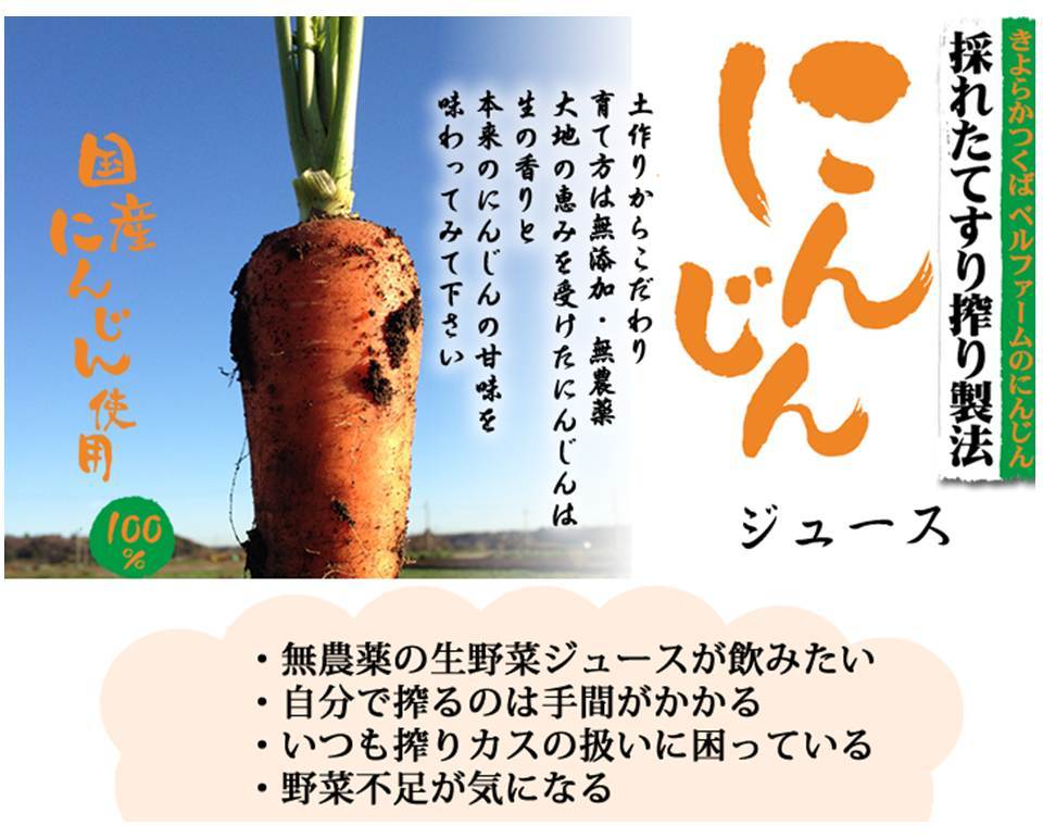 冷凍すり搾り製法のにんじんジュース(100g1袋) - 画像3