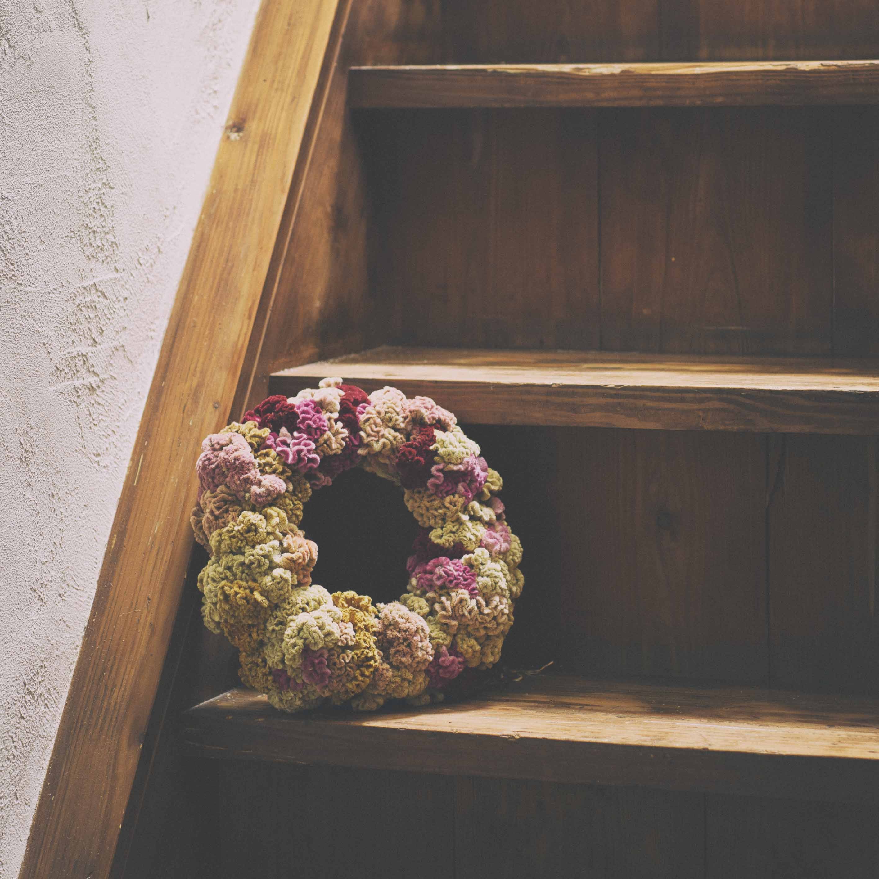 ドライフラワー リース 鶏頭 Dry Flower Wreath Celosia Cockscomb She Is Matilda