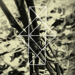 COMMON EIDER, KING EIDER - Shrines For The Unwanted, Respite For The Cast Aside CD - 画像1