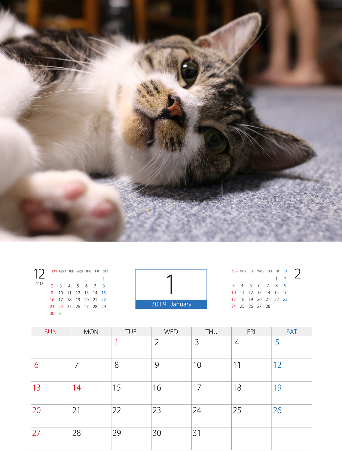 送料無料 19年 リキちゃんねる 壁掛けカレンダー 福猫ぐらし専門店 猫雑誌の 猫ぐらし 雑誌のecサイト