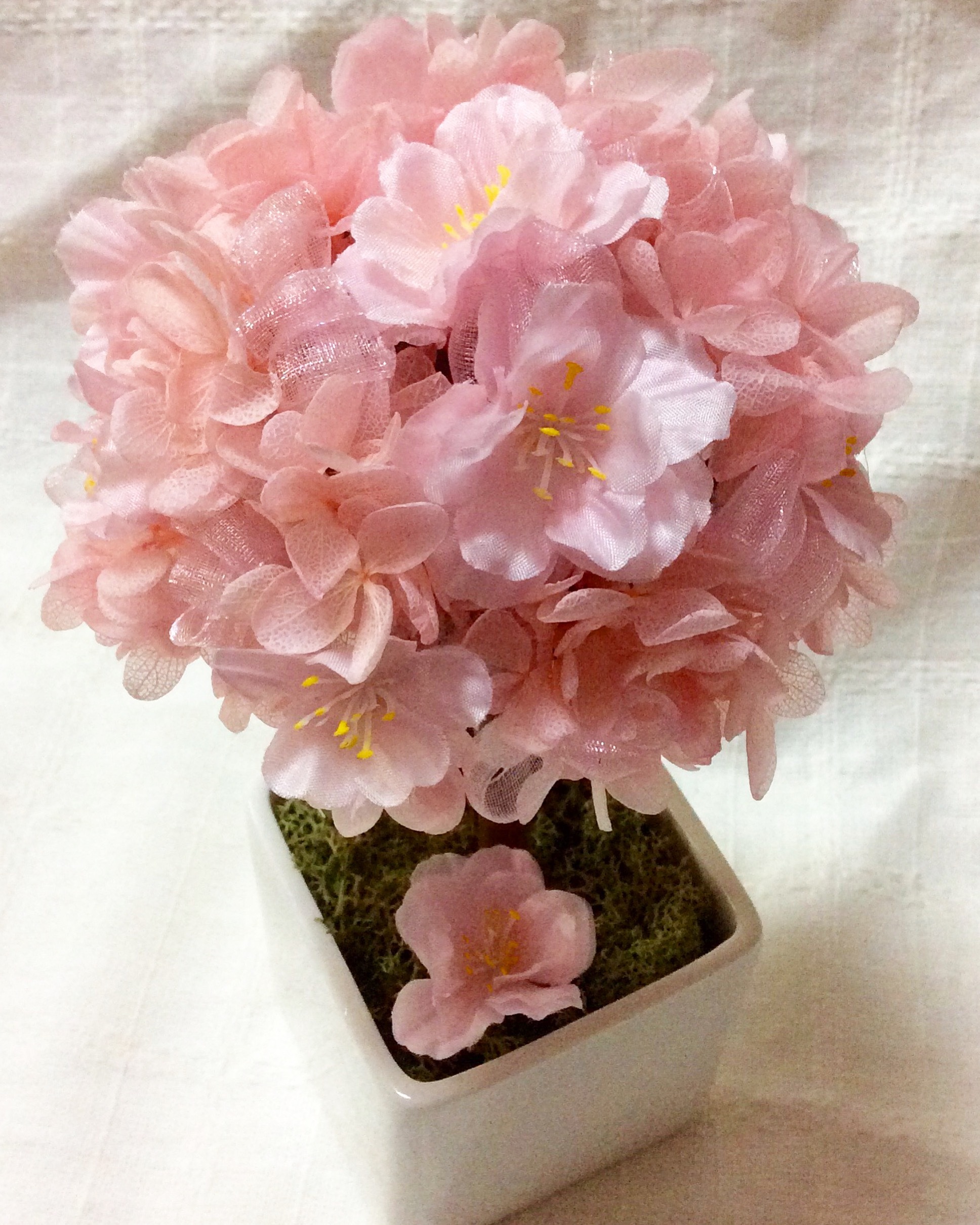 桜サクラのフラワートピアリー | 華陽angel 〜小さなお花のstory〜