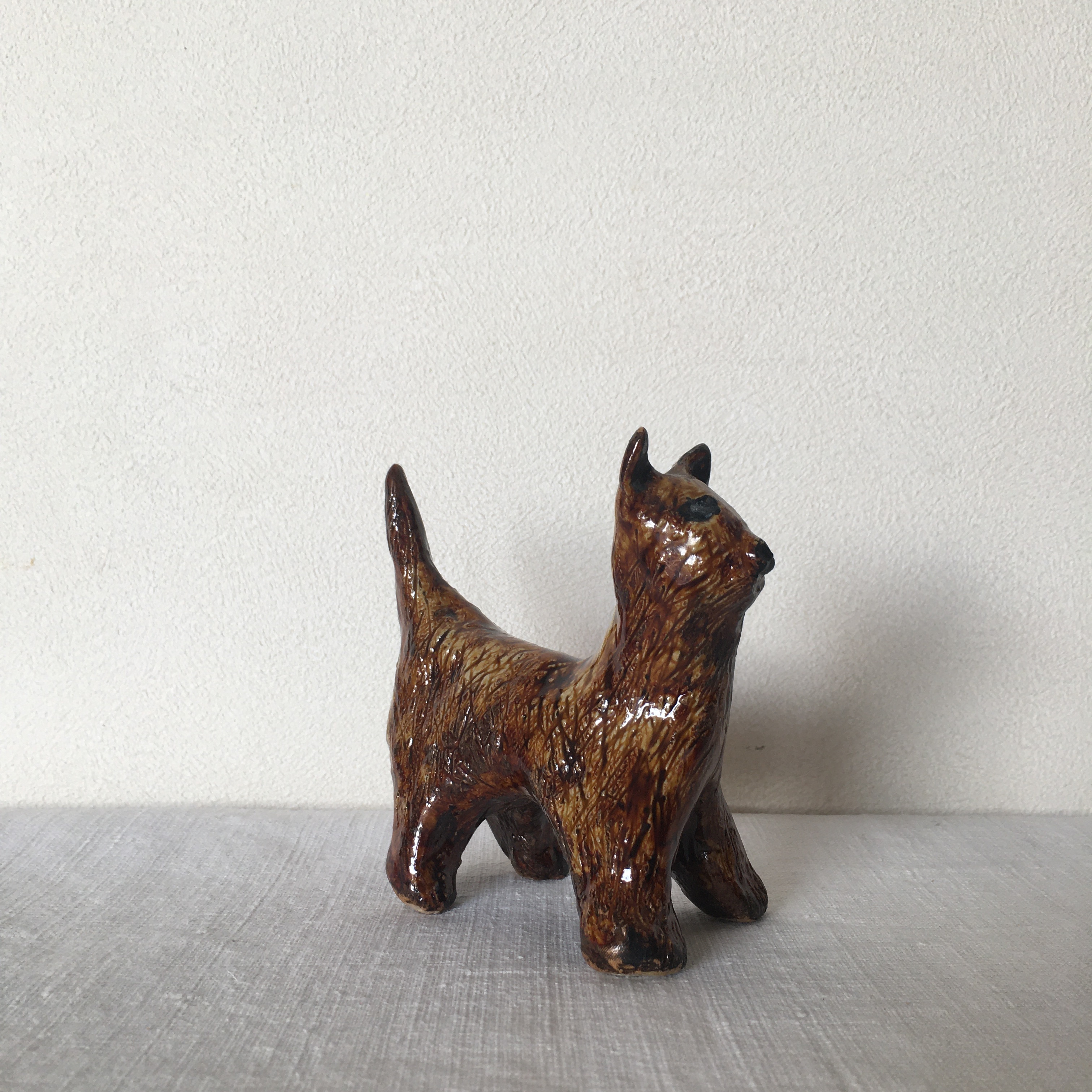 個性派犬みたいな猫さん わたげ舎