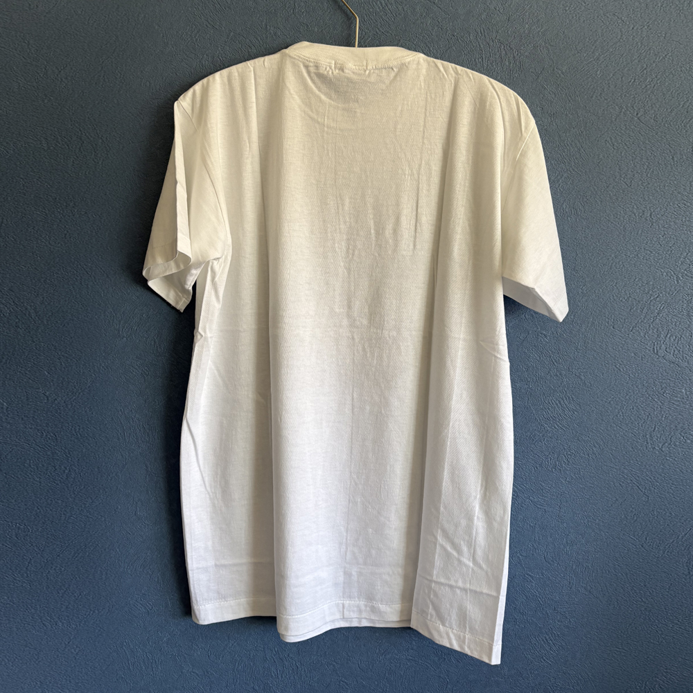 SNK Fatal Fury Special（餓狼伝説 Special）GAMEST Single Stitch【古着/Tシャツ/格闘ゲーム/希少品/90's/ASK品】