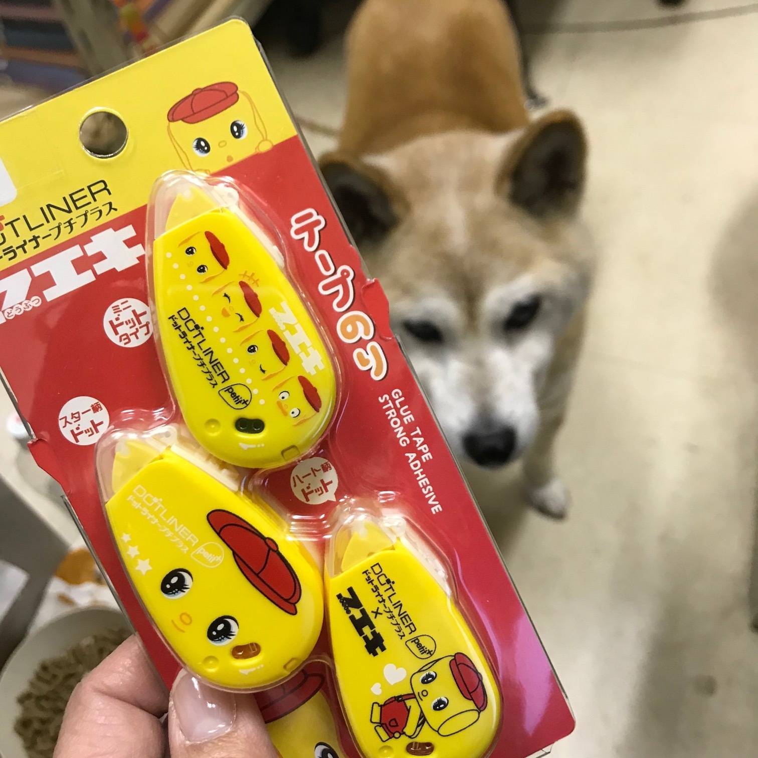 フエキくんテープのり ３個セット 看板犬のいる文具屋さん