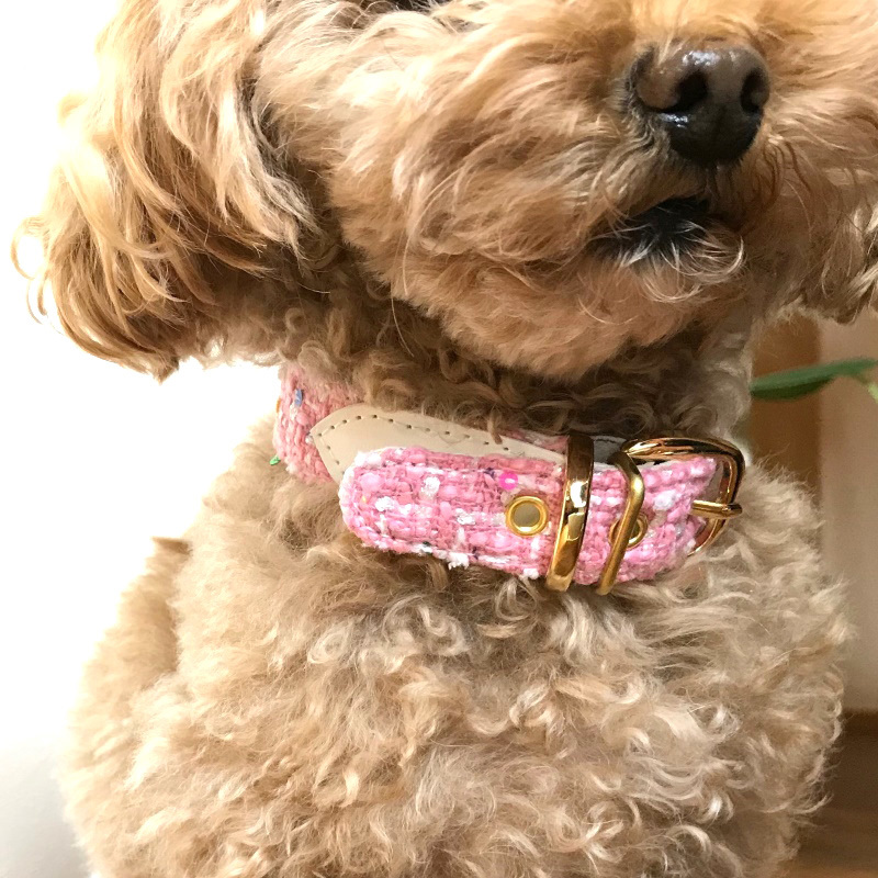 おしゃれな犬の首輪 With ピンクボンボン ツイード カラーchisa キャンディピンク Ohanadog