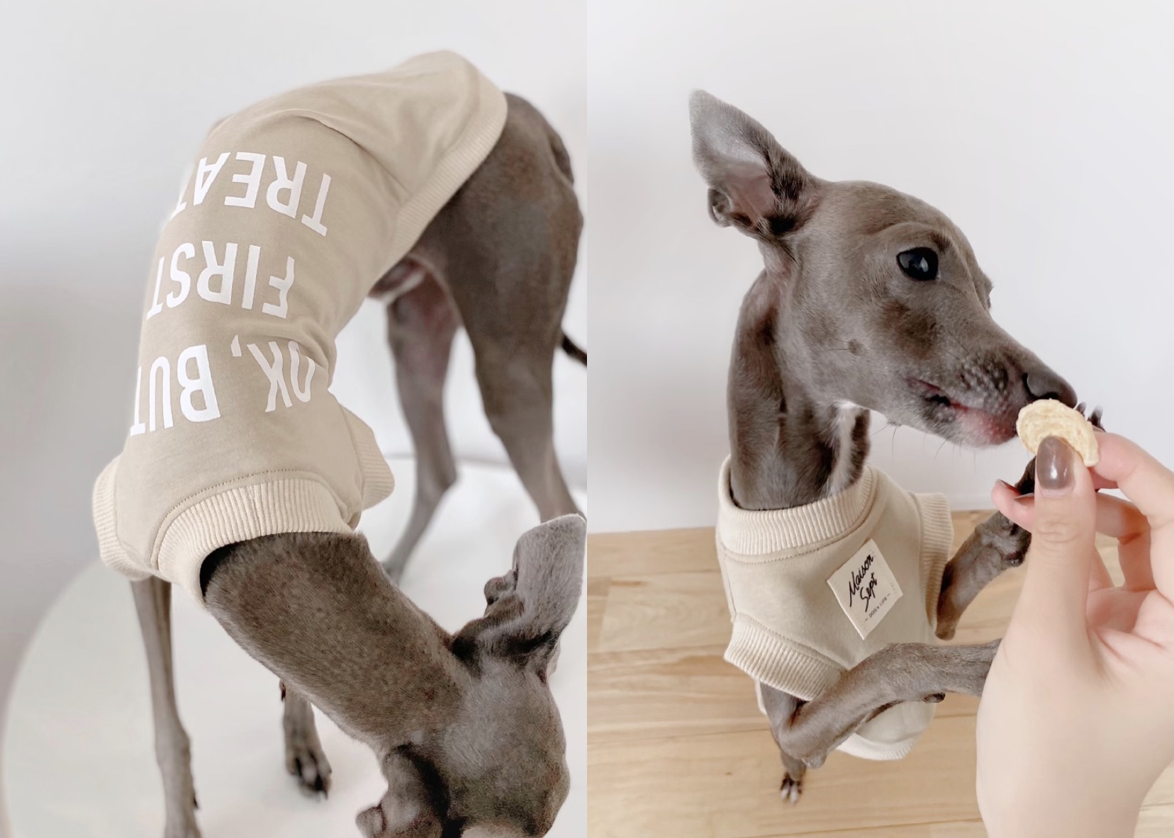 Treats タンクトップ ベージュ ー 犬服 イタグレ服 ミニピン服 フレブル服 キャバリア服 Maison Sept メゾン セット ドッグウェア イタグレ ミニピン フレブル キャバリア