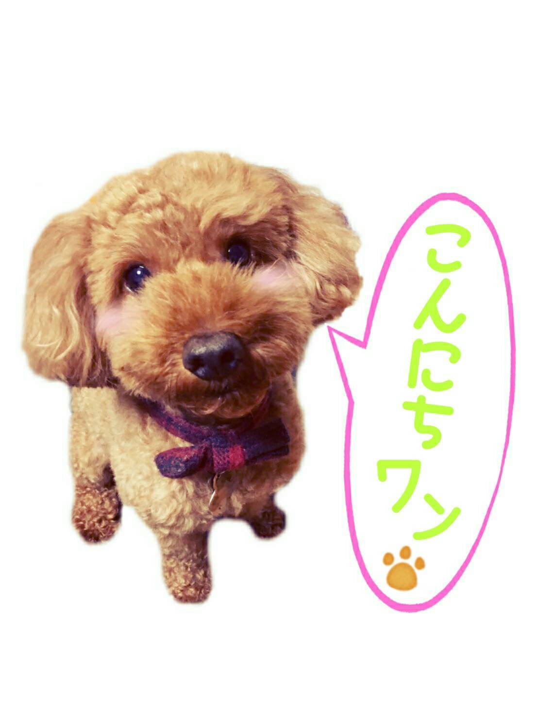 ハッピーワンズ Line スタンプ Hapihar ハッピーワンズ Line スタンプ Hapihar