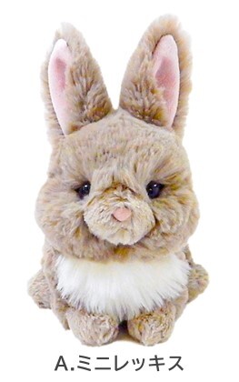 最も共有された 白 うさぎ フランス語 1806 フランス語 うさぎ 白