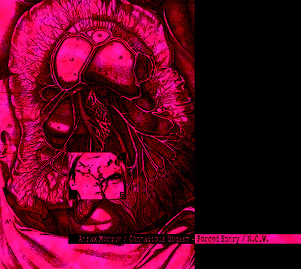 ATRAX MORGUE / CONTAGIOUS ORGASM - Forced Entry / N.C.W. CD - 画像1