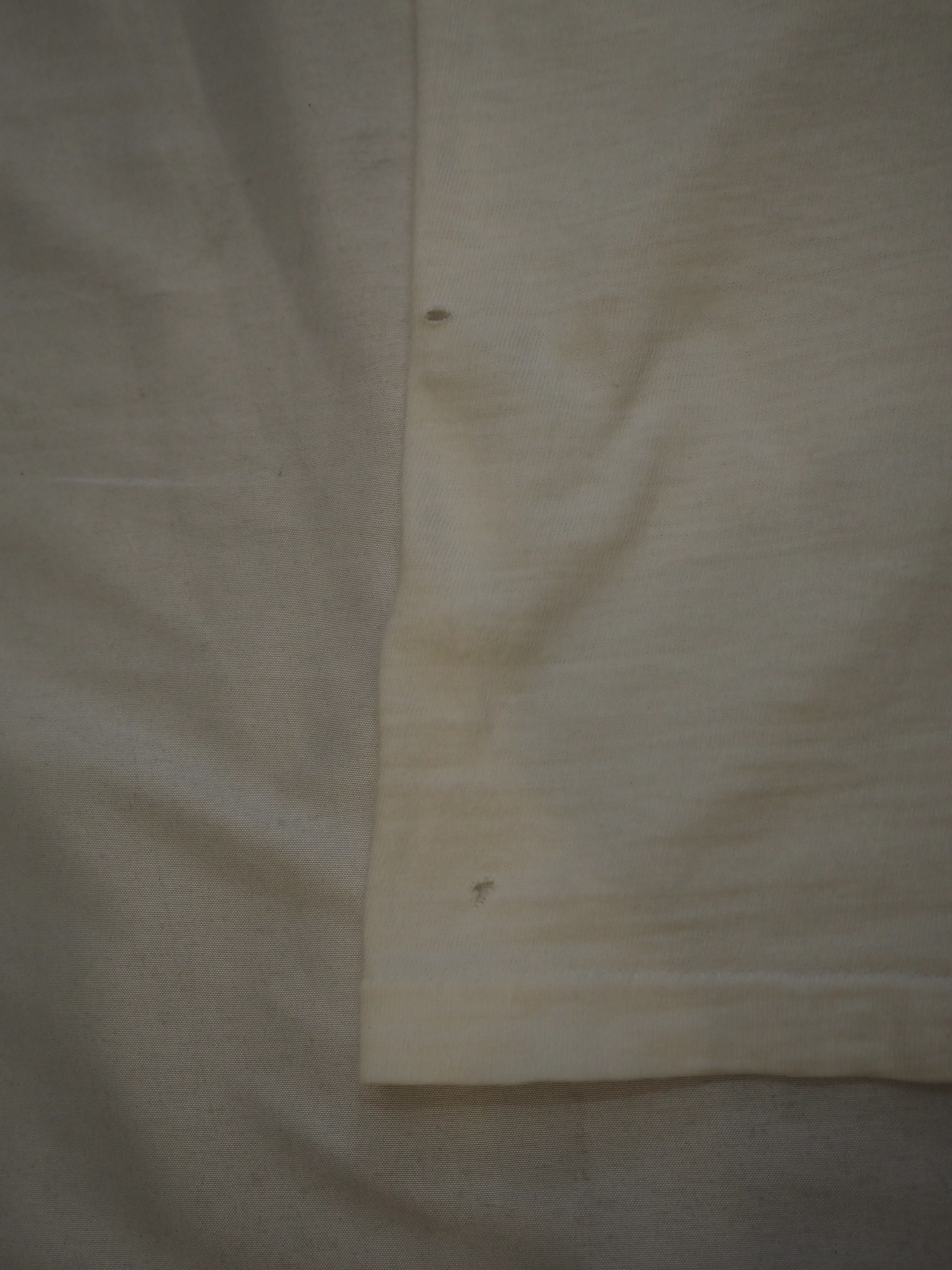 60’s Champion Tee の画像 10