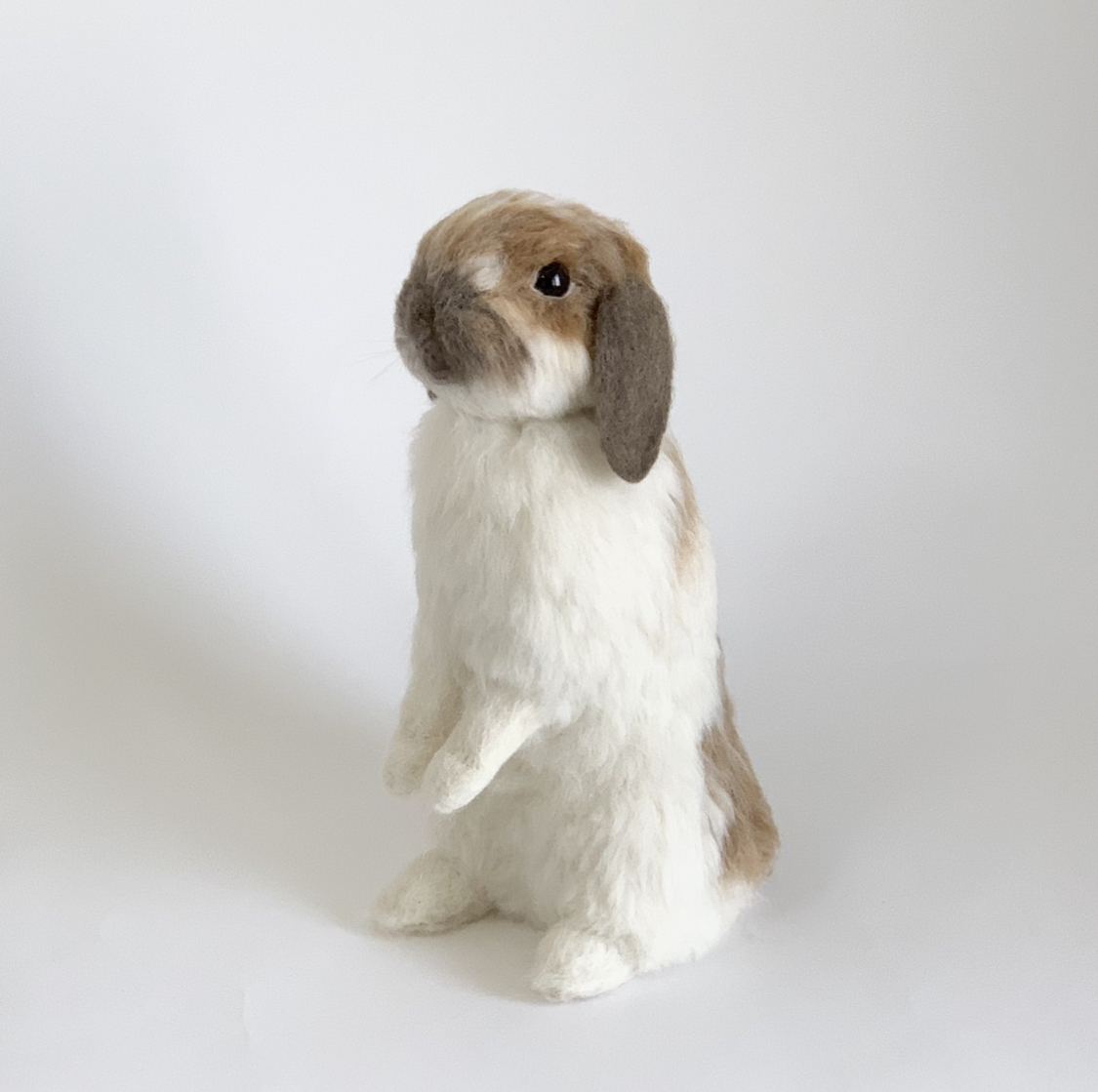 送料無料 羊毛フェルト うさぎ ホーランドロップ うたっち ペット ウサギ ラビット 手作り ハンドメイド Bunny S Heaven 送料無料 羊毛フェルト うさぎ ホーランドロップ うたっち ペット ウサギ ラビット 手作り ハンドメイド Bunny S Heaven