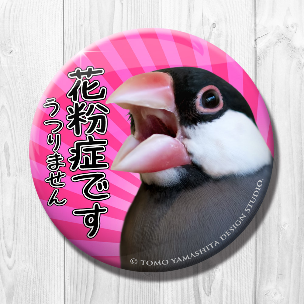 文鳥 花粉症です 缶バッジ Tomoyamashita Design 文鳥 花粉症です 缶バッジ Tomoyamashita Design