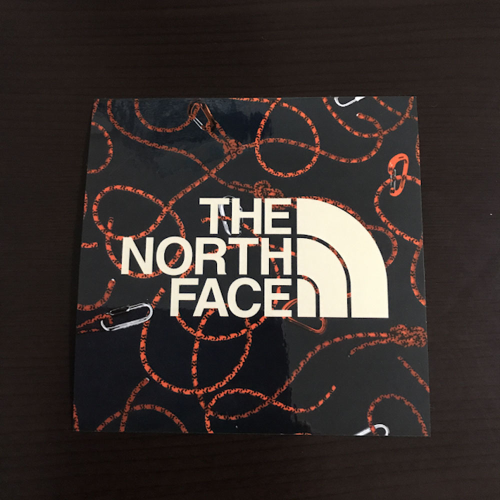 Th 4 The North Face ザ ノースフェイス ステッカー Rp M Earth Skateboardstikers