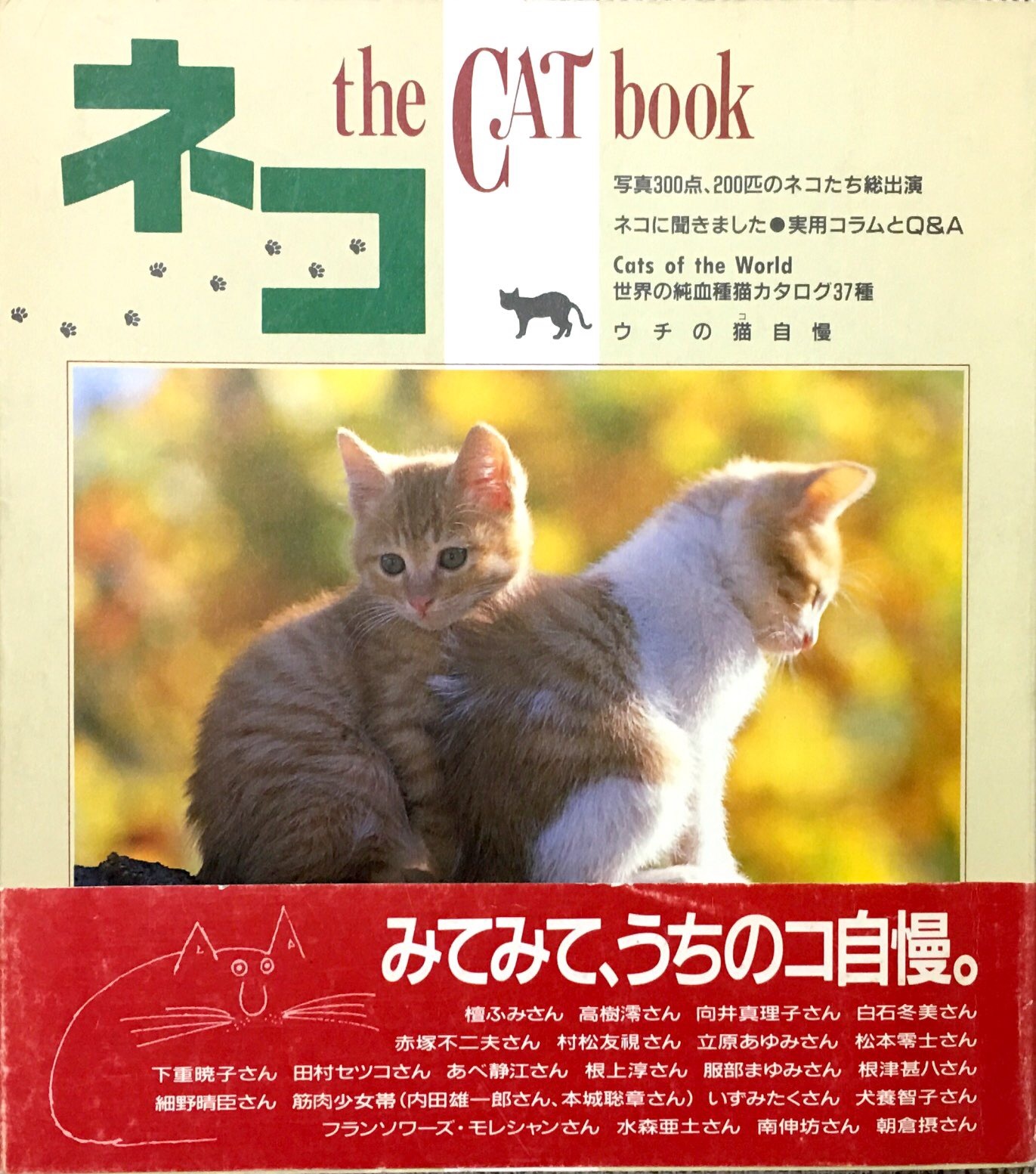 ネコthe Cat Book 単行本 帯付き 猫本サロン 京都三条サクラヤ ネコthe Cat Book 単行本 帯付き 猫本サロン 京都三条サクラヤ