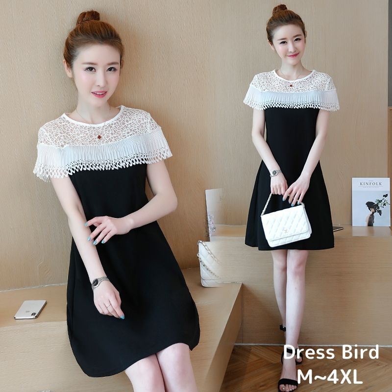 ワンピース ミニワンピース Aライン シースルー ショート丈 半袖 韓国 食事会 大きいサイズ 2xl 3xl 4xl Mme5292 Dress Bird