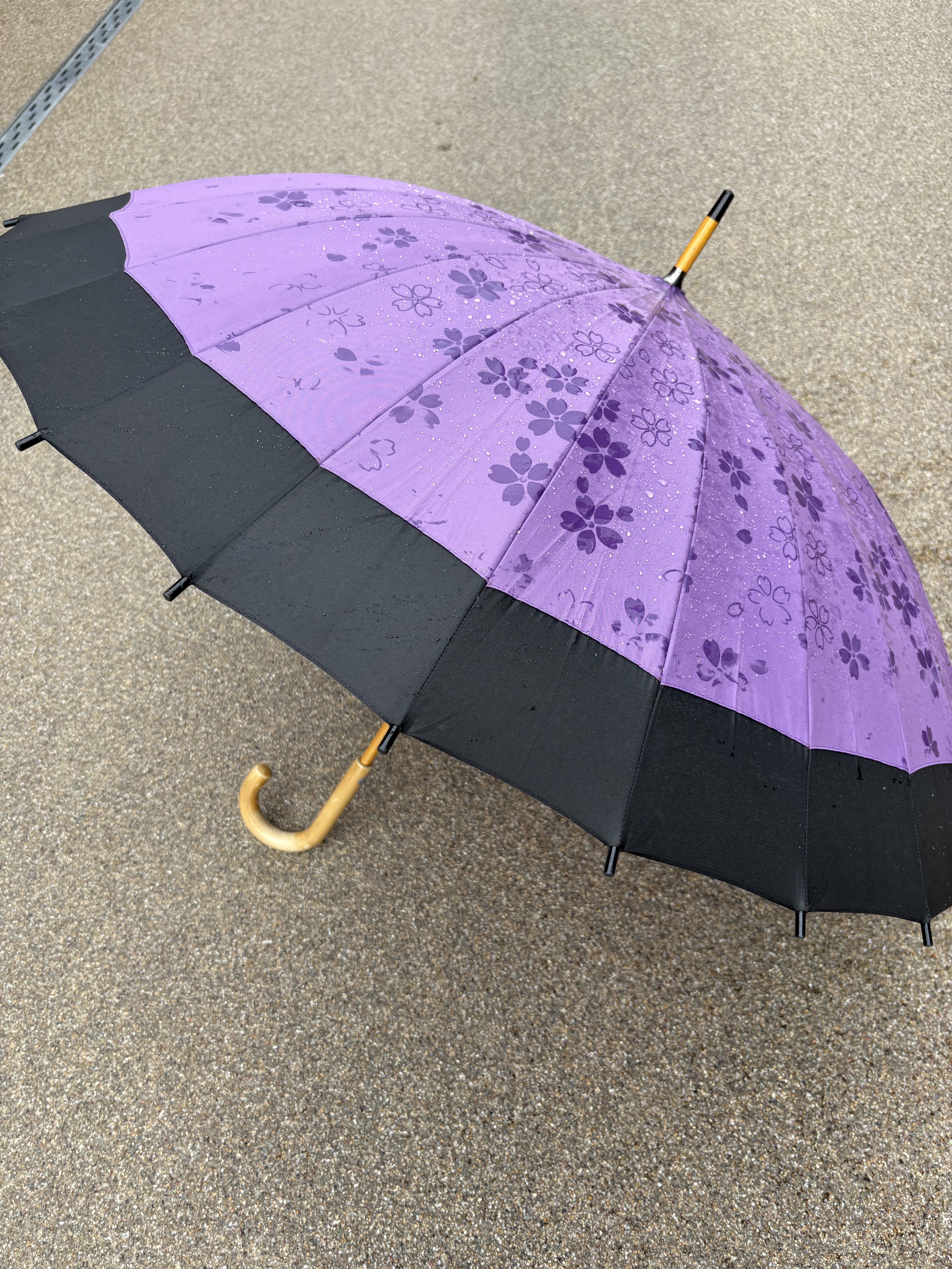 濡れたら桜が浮き出る傘　紫