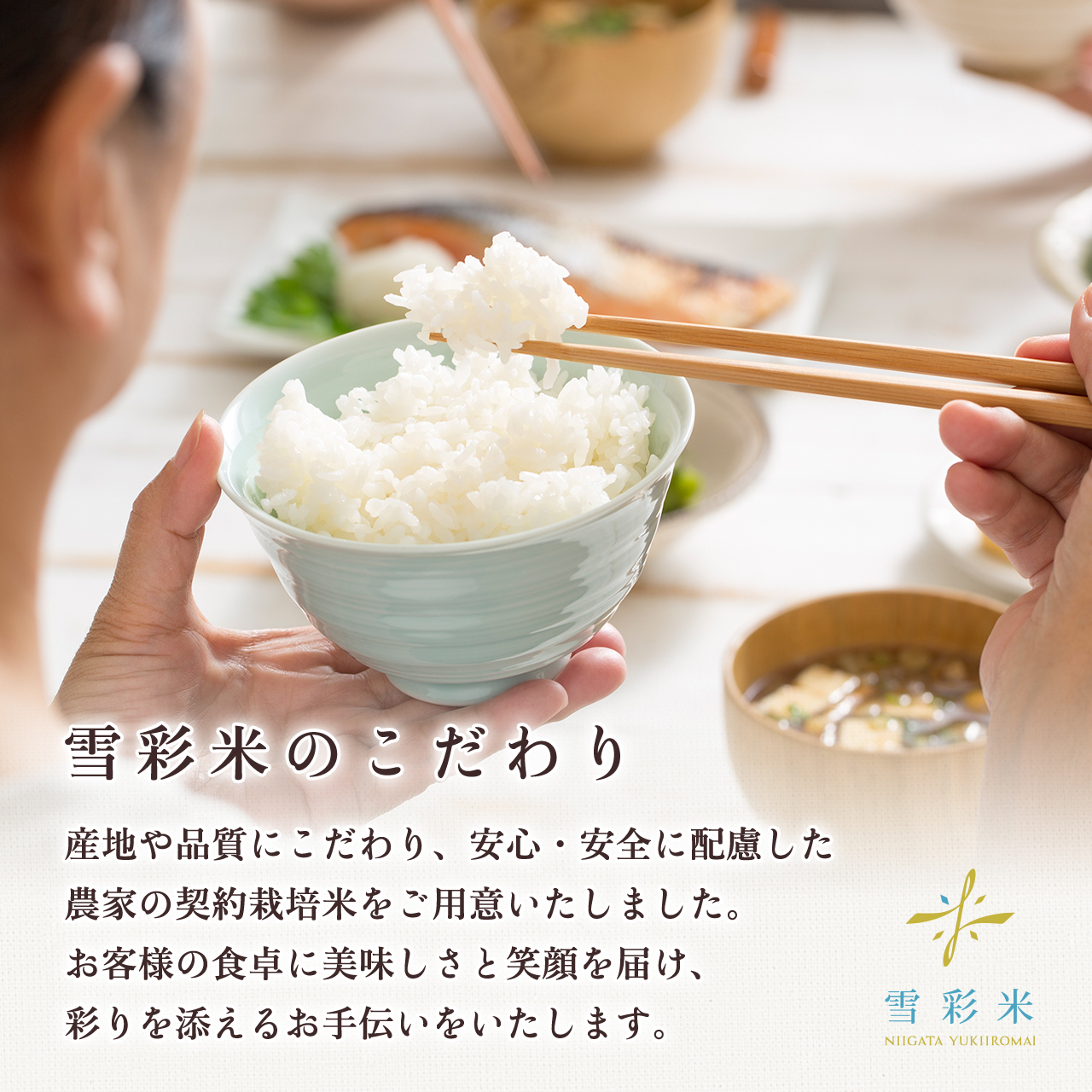雪彩米 新潟県産 一等米 令和2年産 コシヒカリ 10kg ユキイロファーム 雪彩米 新潟県産 一等米 令和2年産 コシヒカリ 10kg ユキイロファーム