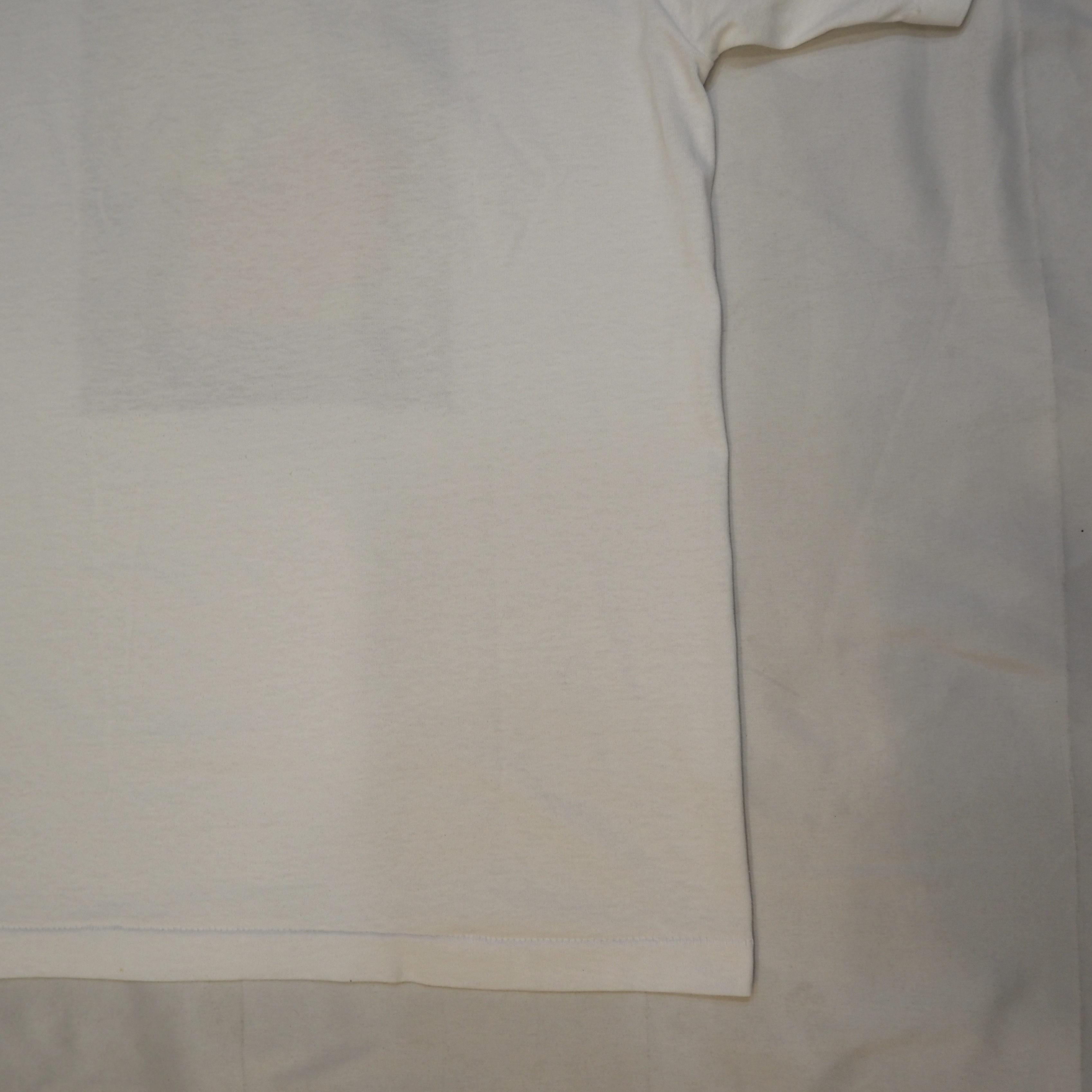 90’s Screen Stars ブレインTシャツ の画像 14