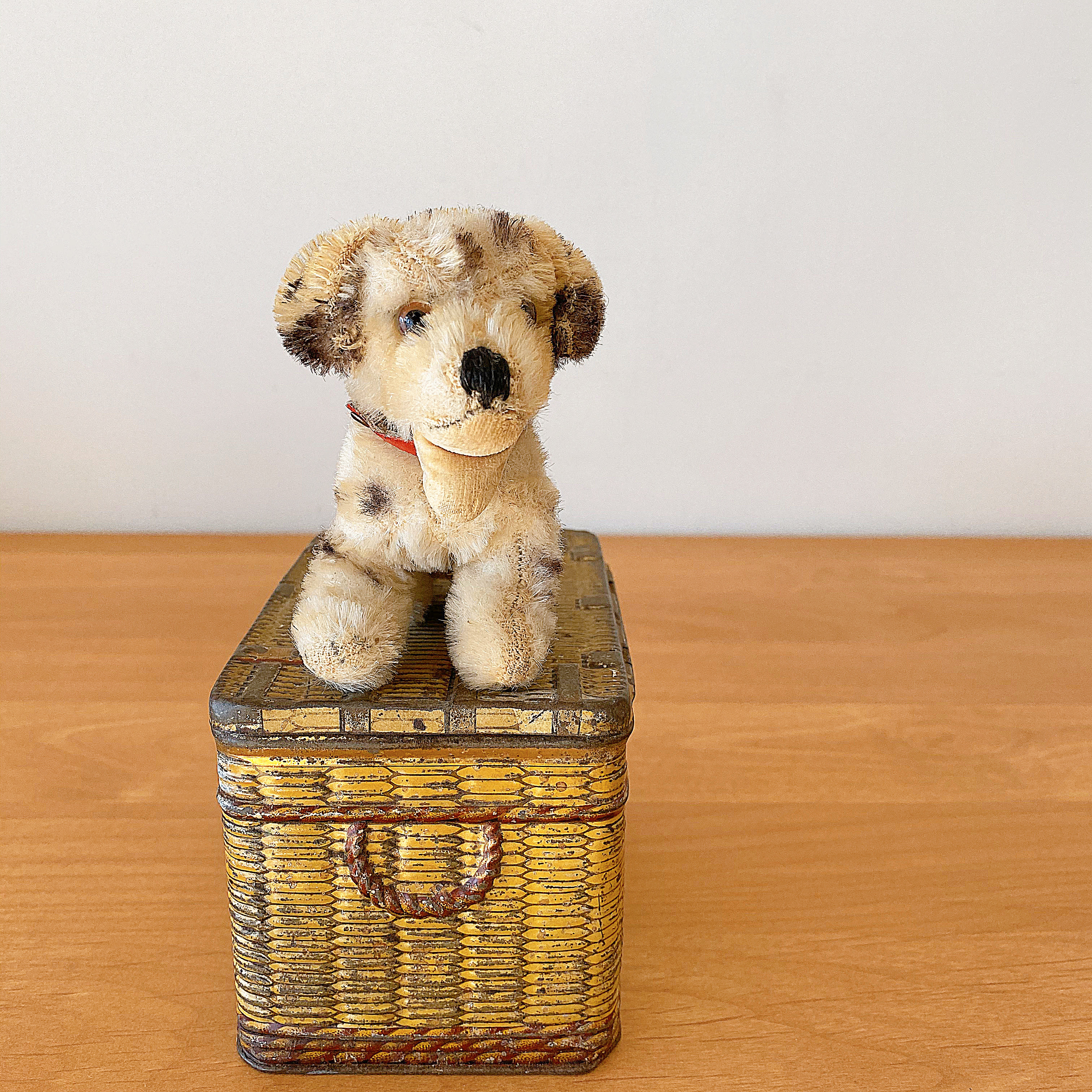 アンティークシュタイフ Steiff ダルメシアンのdally ドイツ ぽわにえ だむーる アンティーク ブロカント アンティークシュタイフ Steiff ダルメシアンのdally ドイツ ぽわにえ だむーる アンティーク ブロカント