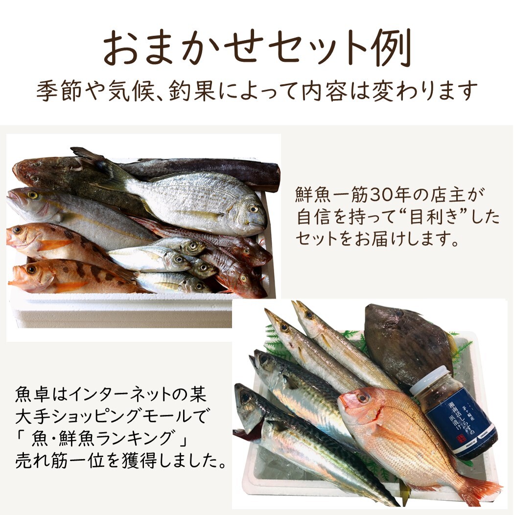 お魚定期便 月1 全3回 刺身 魚卓お試し鮮魚セット 茅ヶ崎産 釜揚げしらすサービス 湘南茅ヶ崎 顔の見えるお店 お魚定期便 月1 全3回 刺身 魚卓お試し鮮魚セット 茅ヶ崎産 釜揚げしらすサービス 湘南茅ヶ崎 顔の見えるお店