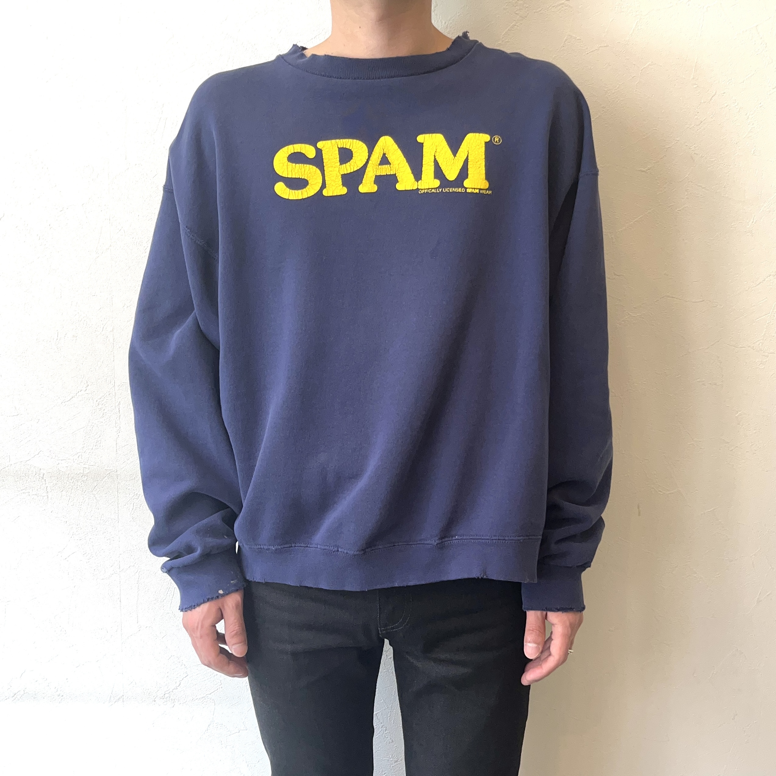 Y2K【FRUIT OF THE LOOM】"SPAM" Grunge Sweat の画像 3