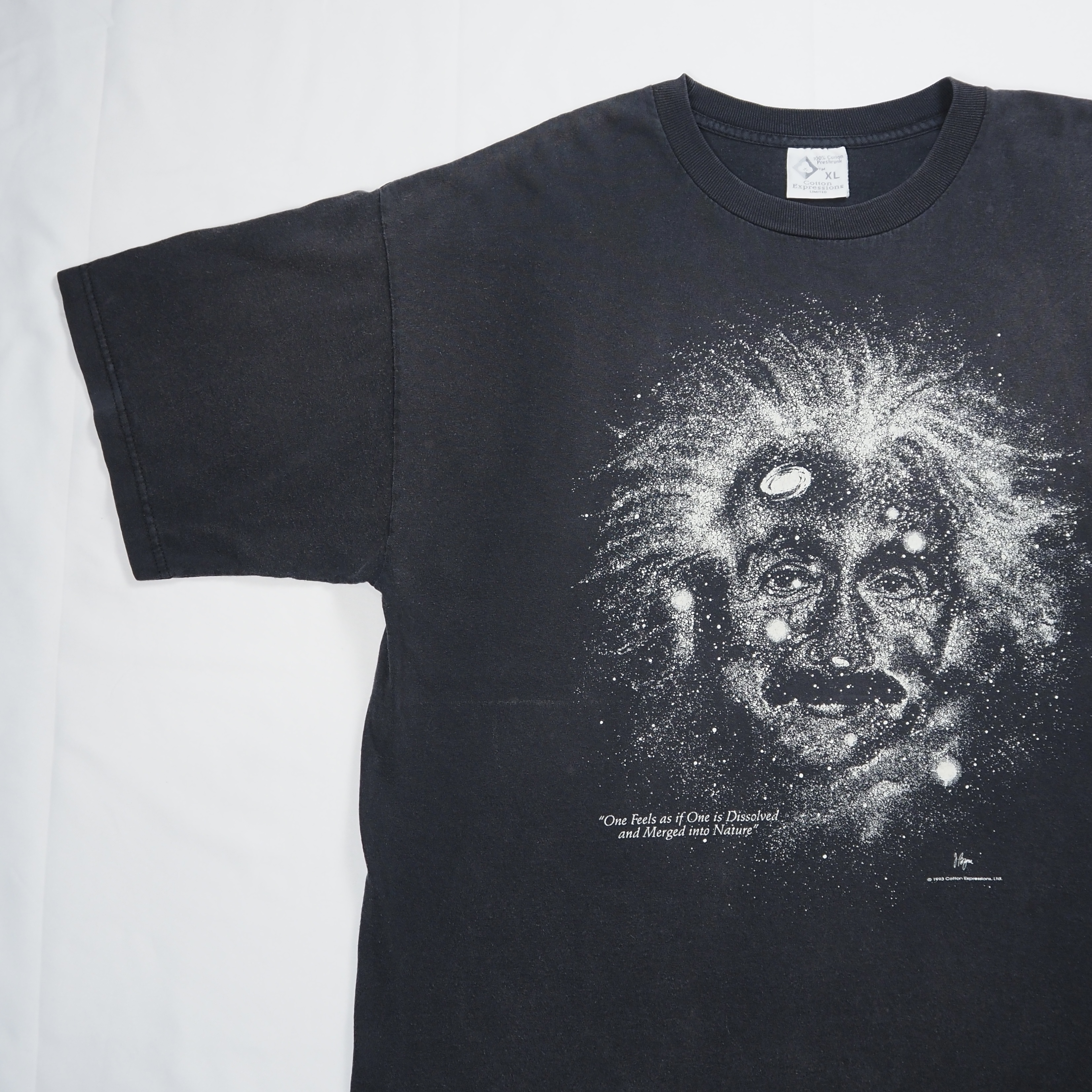 90’s アインシュタイン Tシャツ XL ブラックフェード の画像 11
