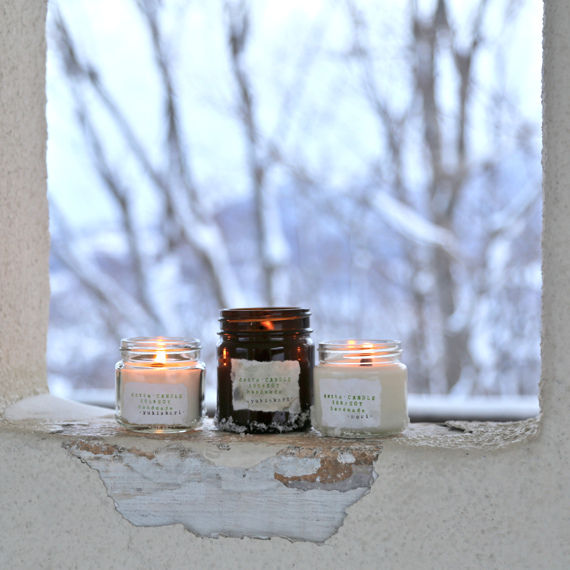 Mori森の香り m Soywax100 の木芯キャンドル ソイワックスキャンドル ソイキャンドル アロマキャンドル Dotto Candle Mori森の香り m Soywax100 の木芯キャンドル ソイワックスキャンドル ソイキャンドル アロマキャンドル Dotto Candle