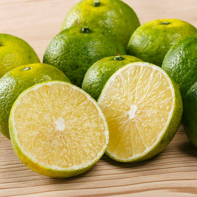 幻の柑橘 へべすライム X 1kg 定期購入 がん予防 花粉症対策 へべすライム