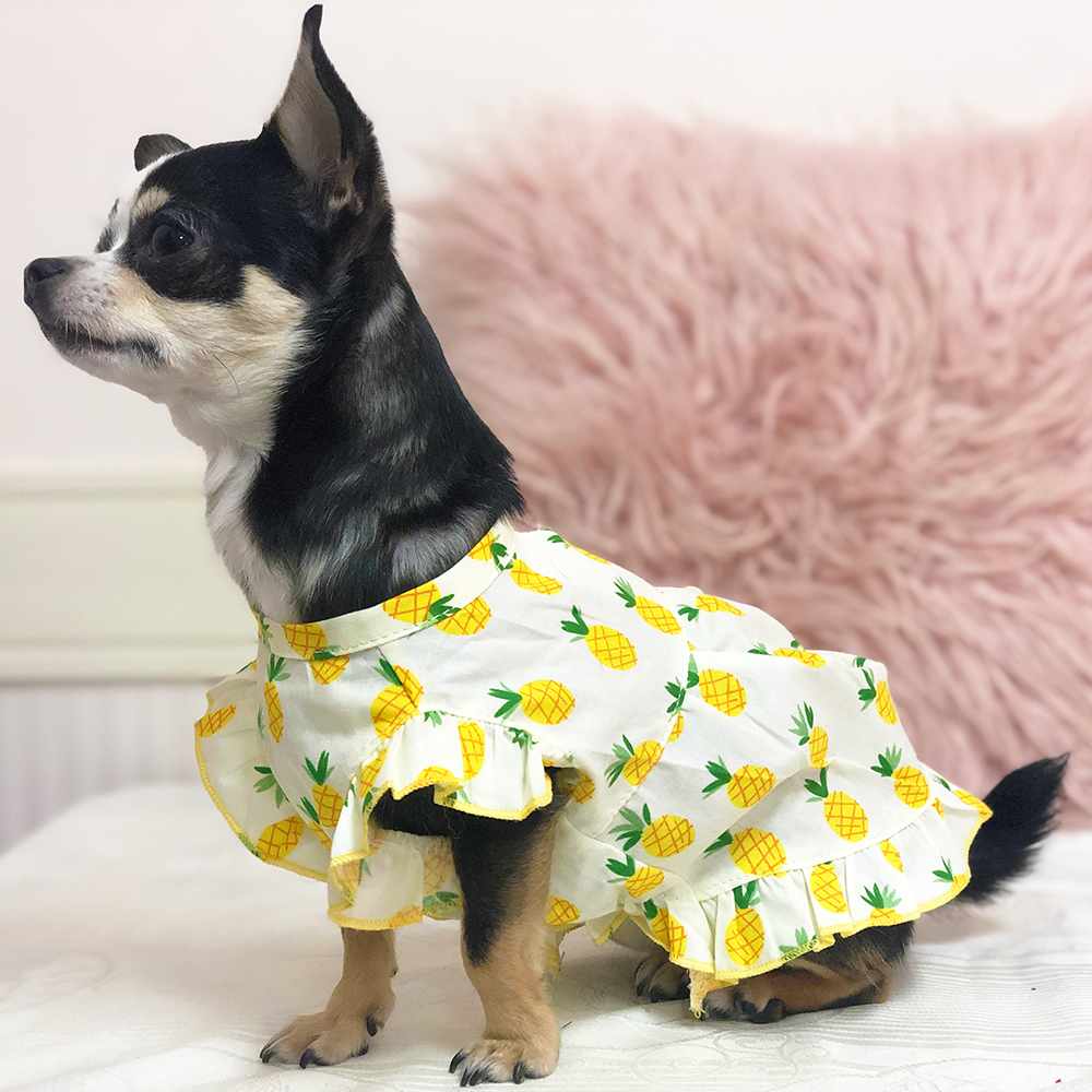 犬服 ドッグウエア フルーツ柄のサマードレス Npo法人ペット里親会noel S 犬服 ドッグウエア フルーツ柄のサマードレス Npo法人ペット里親会noel S