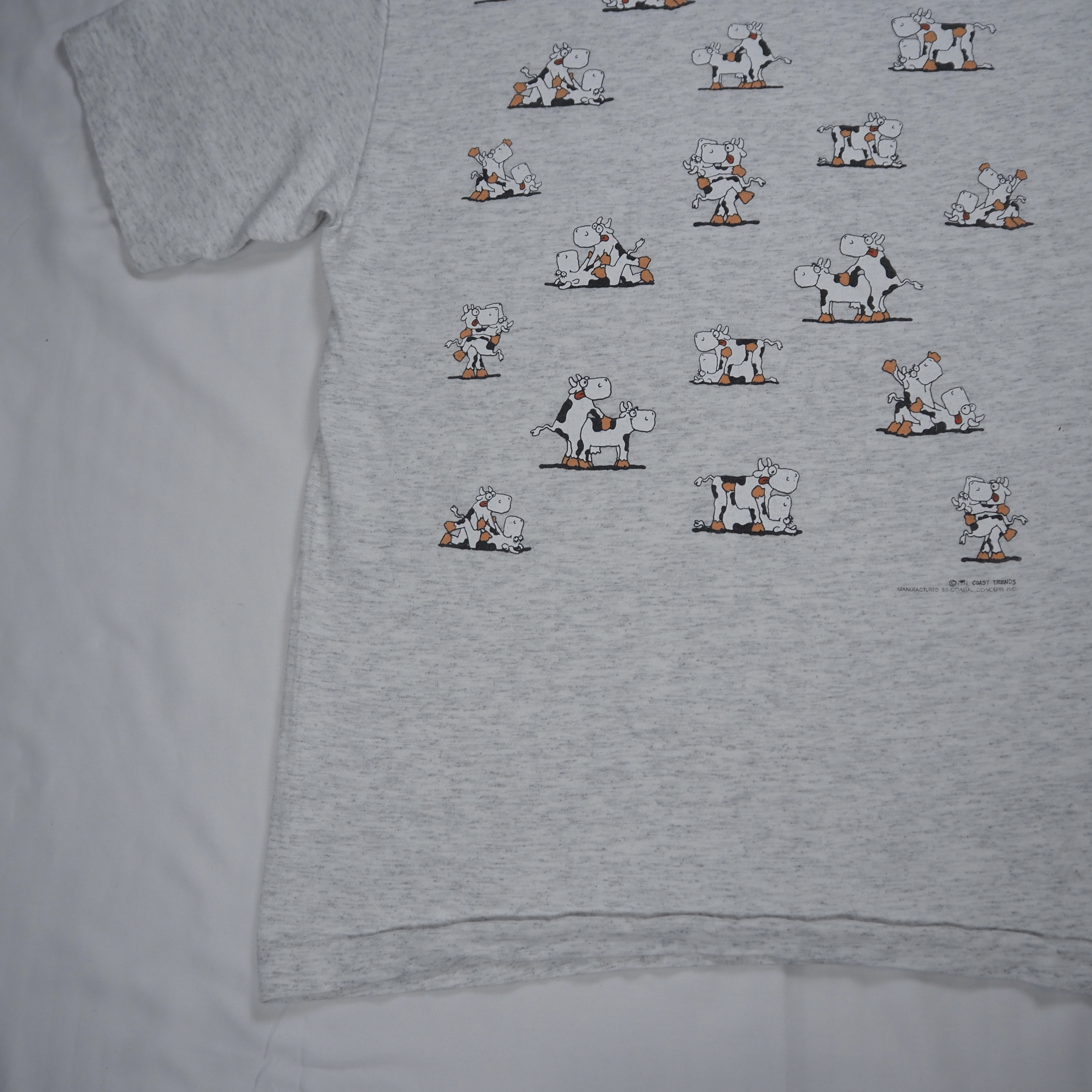 90’s SOF TEE 四十八手Tシャツ ホルスタイン Lサイズ の画像 16