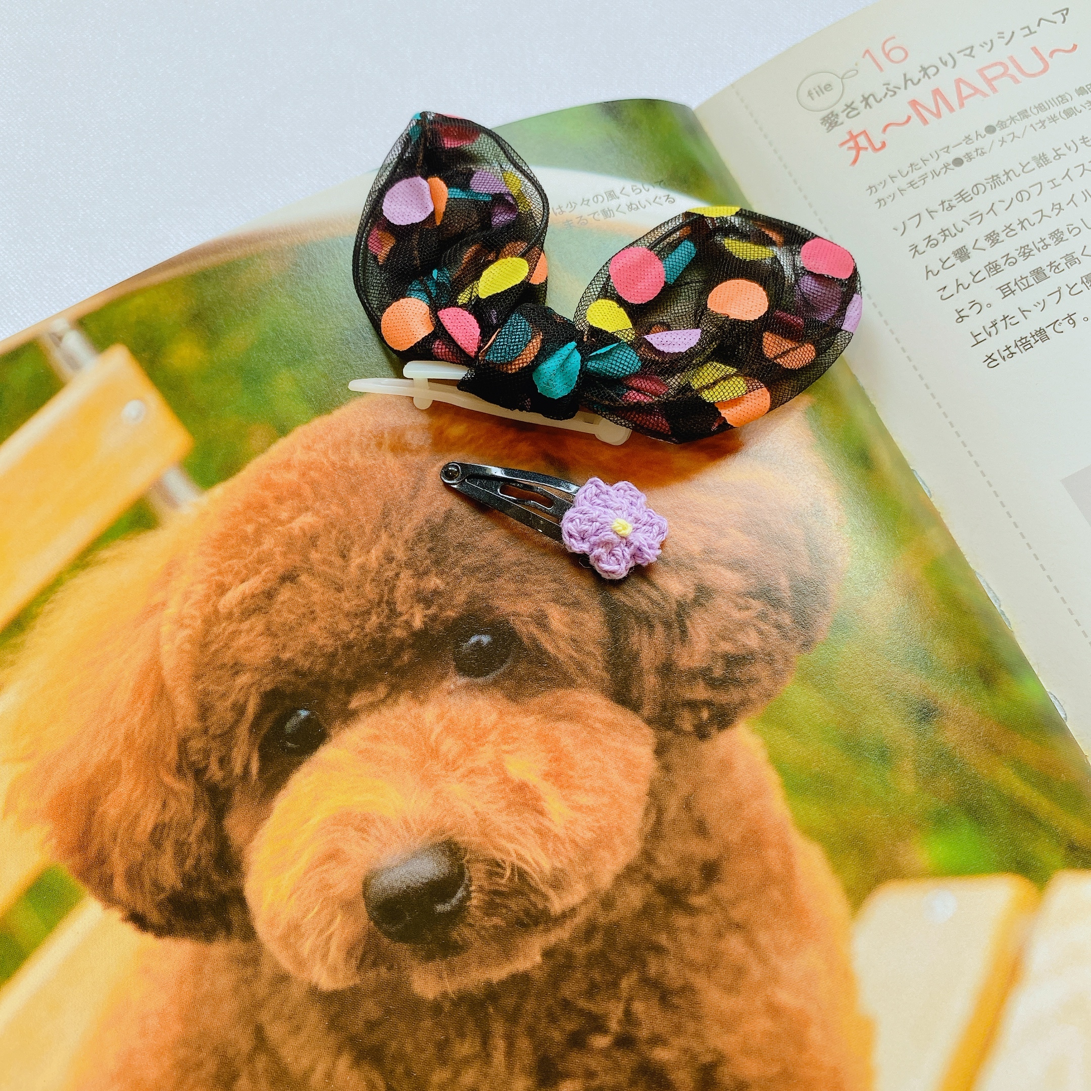 レインボーヘアピン2pセット 2color ペット アクセサリー 犬 ヘアピン 可愛い 犬の服 ドッグウェア 猫 小型犬 中型犬 ペット用品ショップ Nari Pet レインボーヘアピン2pセット 2color ペット アクセサリー 犬 ヘアピン 可愛い 犬の服 ドッグウェア 猫 小型犬 中型犬 ペット用品ショップ Nari Pet