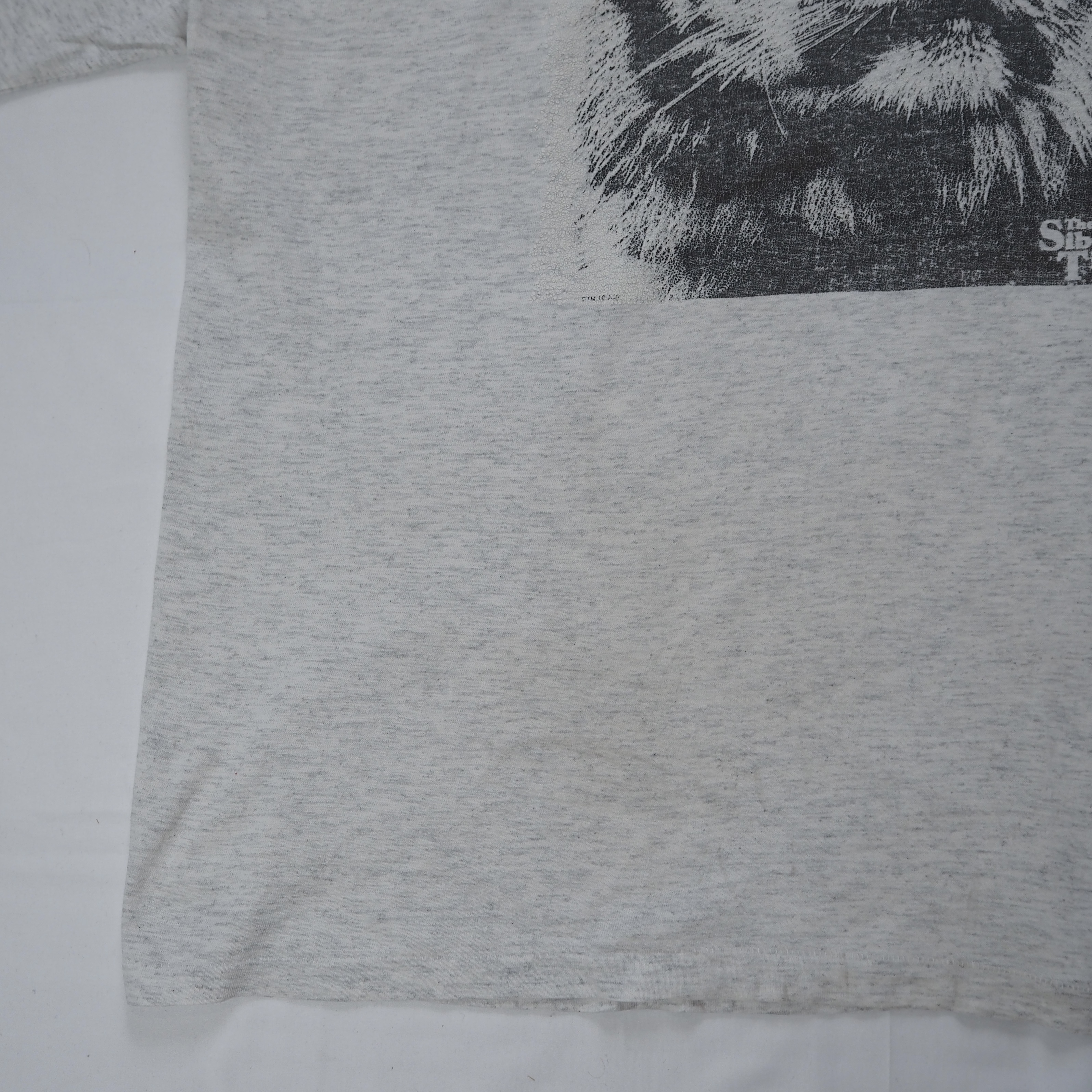 90’s Oneita ロンT 虎 XL の画像 7