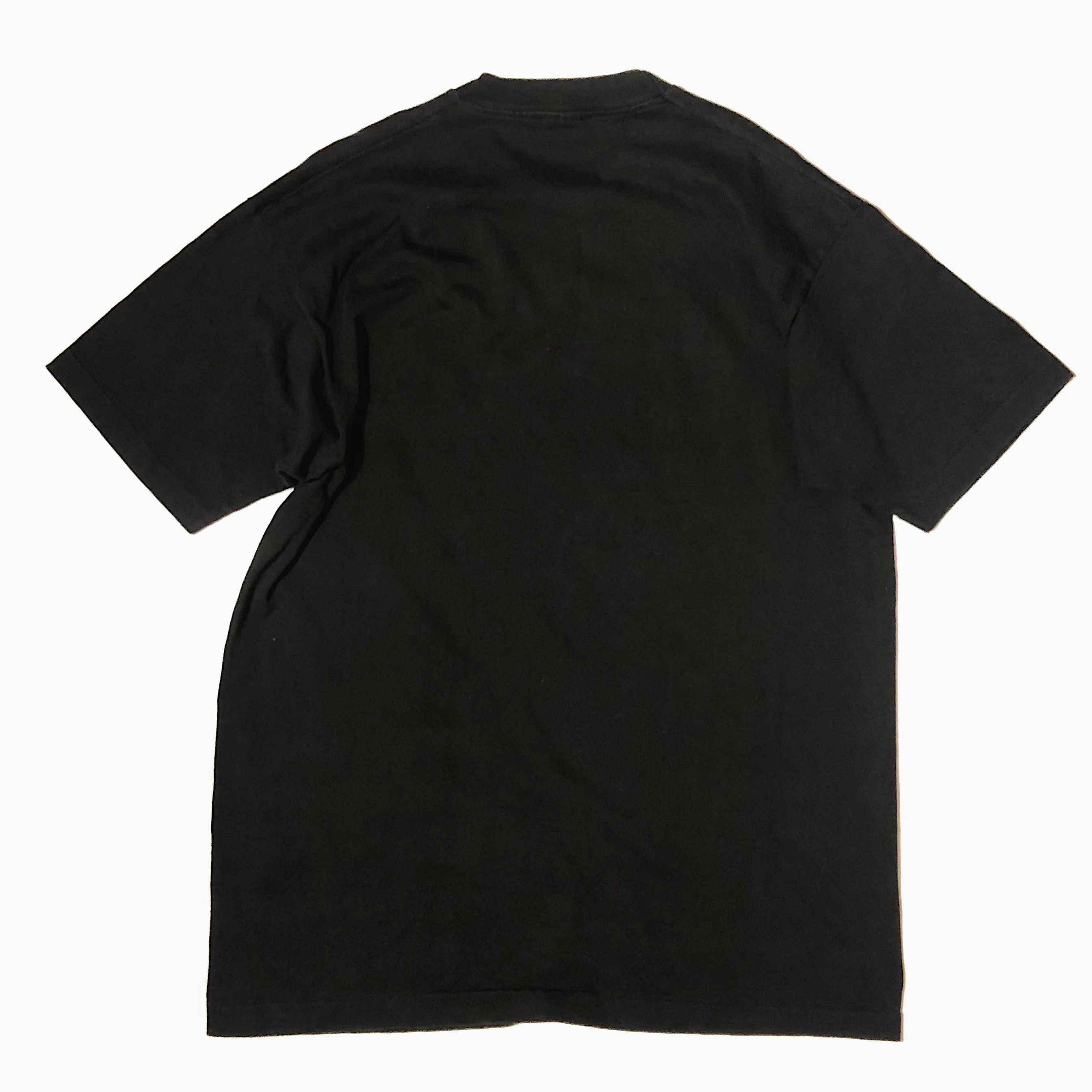 Vintage 90's【FRUIT OF THE LOOM】"MOUNTAIN STAGE" T-shirt の画像 2