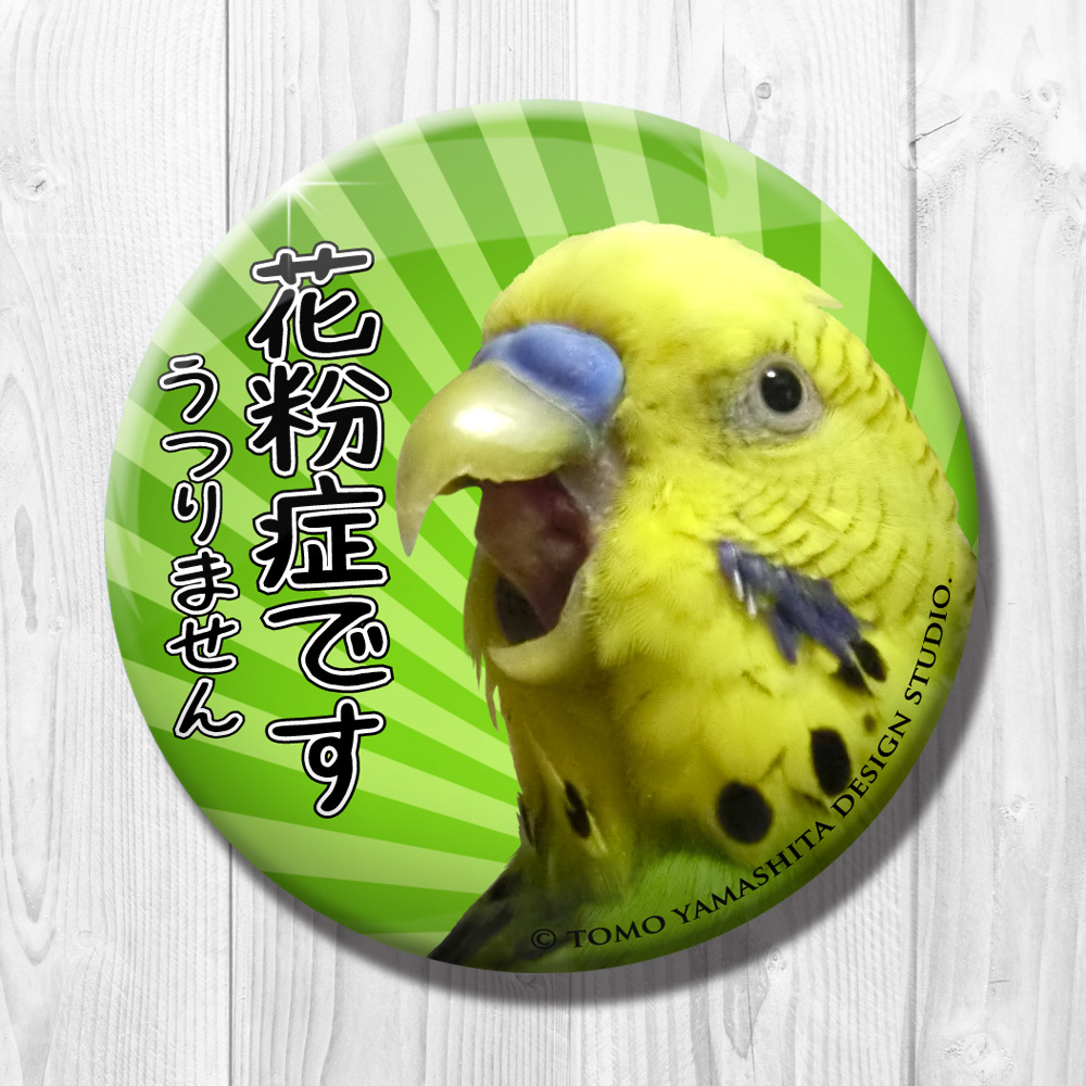 セキセイインコ 花粉症です 缶バッジ Tomoyamashita Design
