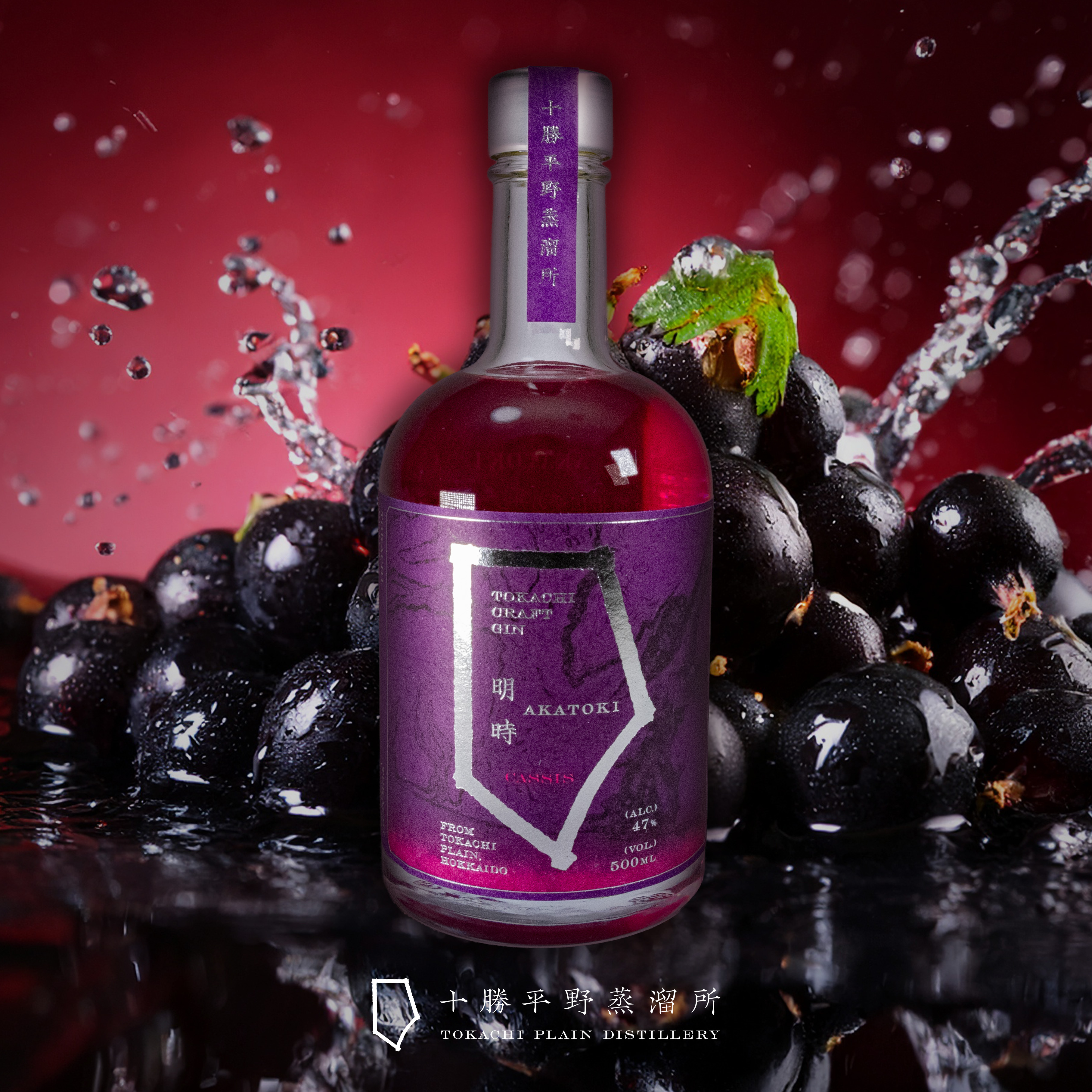 「数量限定」明時（AKATOKI）CASSIS カシス（化粧箱:オプション）