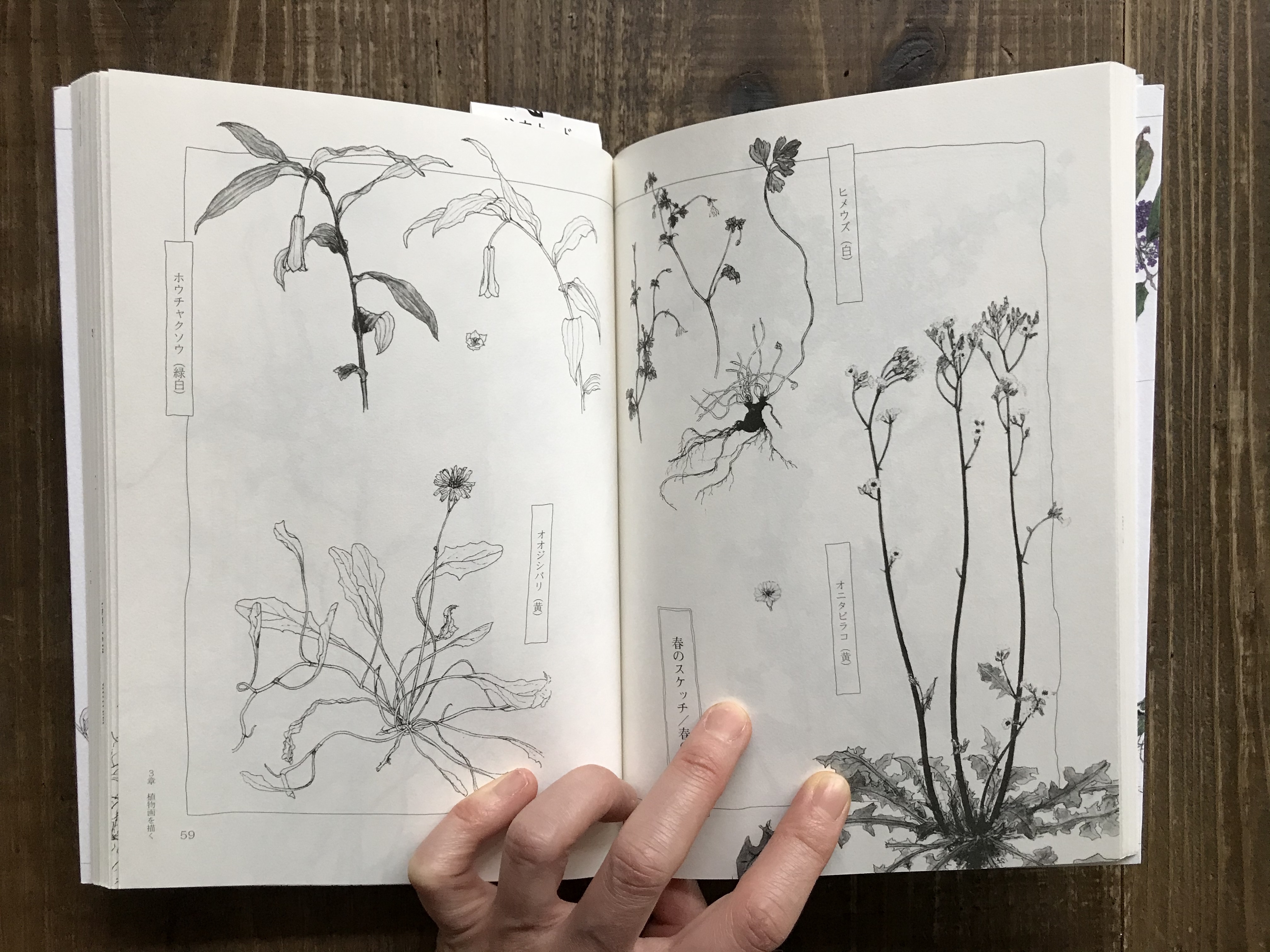 三浦半島スケッチブック 園田幸朗 ｖｕｏｒｉ