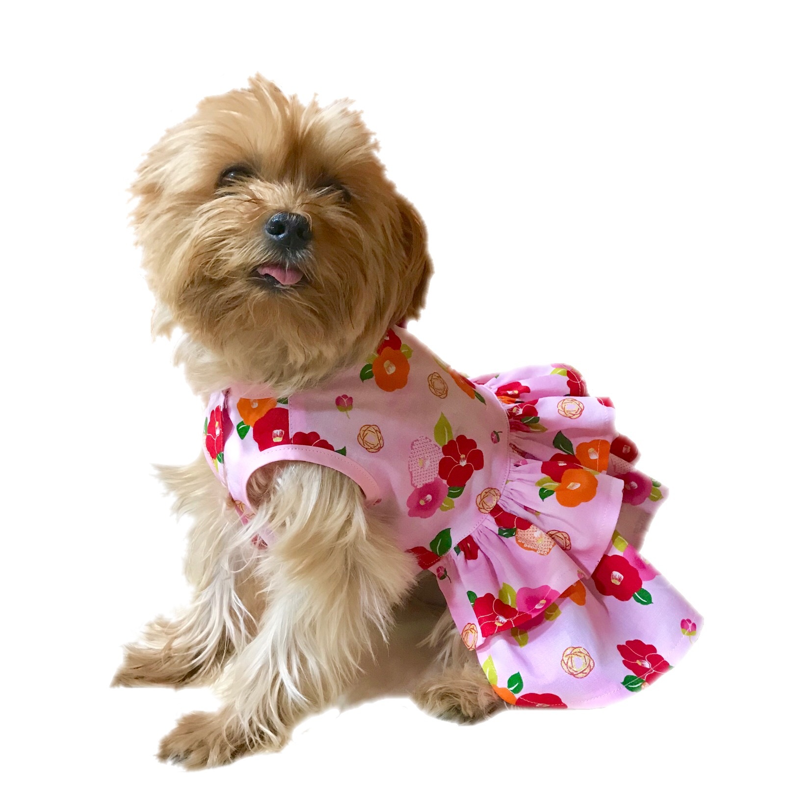 犬服 2 3 4号 ワンピース 花柄 椿 ピンク Tony Dog Zakka ハンドメイド犬服と雑貨のお店 犬服 2 3 4号 ワンピース 花柄 椿 ピンク Tony Dog Zakka ハンドメイド犬服と雑貨のお店