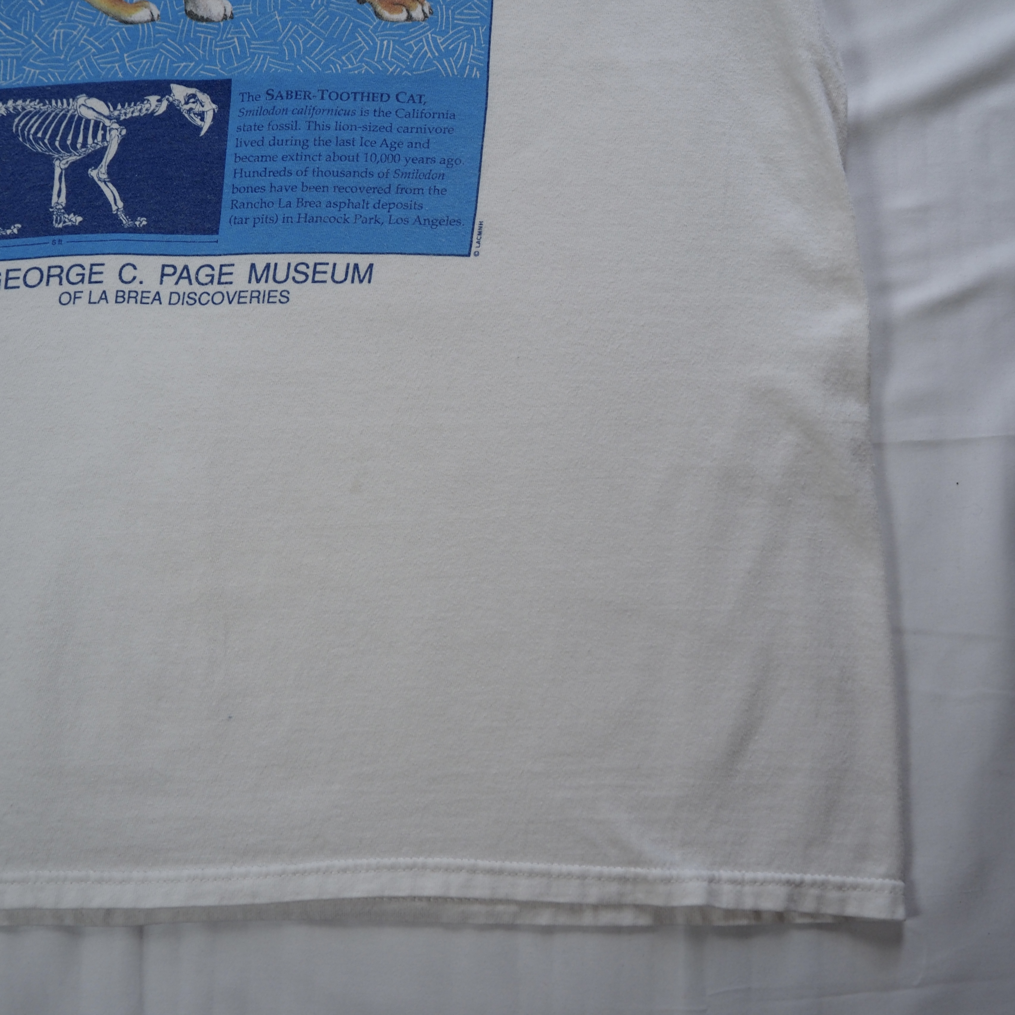 90’s Hanes サーベルタイガーTシャツ XL の画像 12