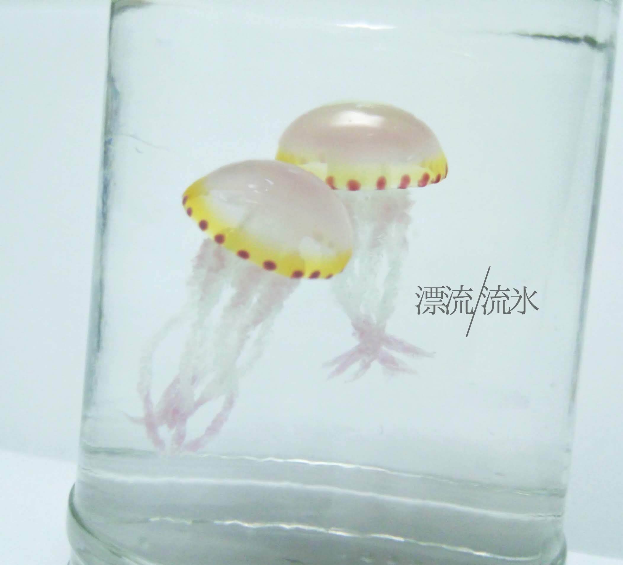 Fake Jellyfish ムラサキクラゲ 漂流 流氷