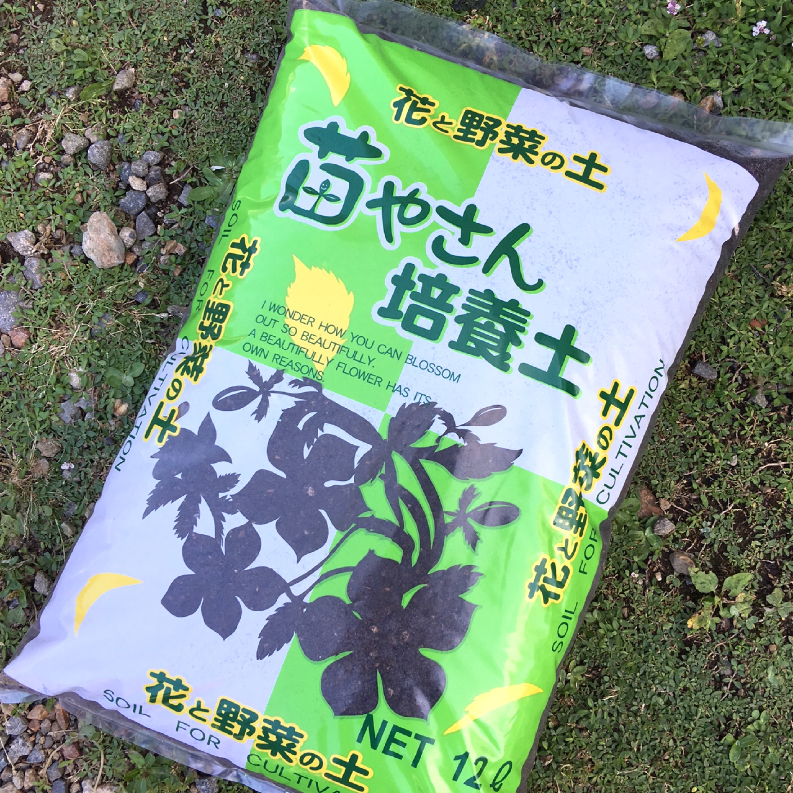 ギャザリングに最適!ふかふか「苗やさん培養土」12ℓ - 画像1