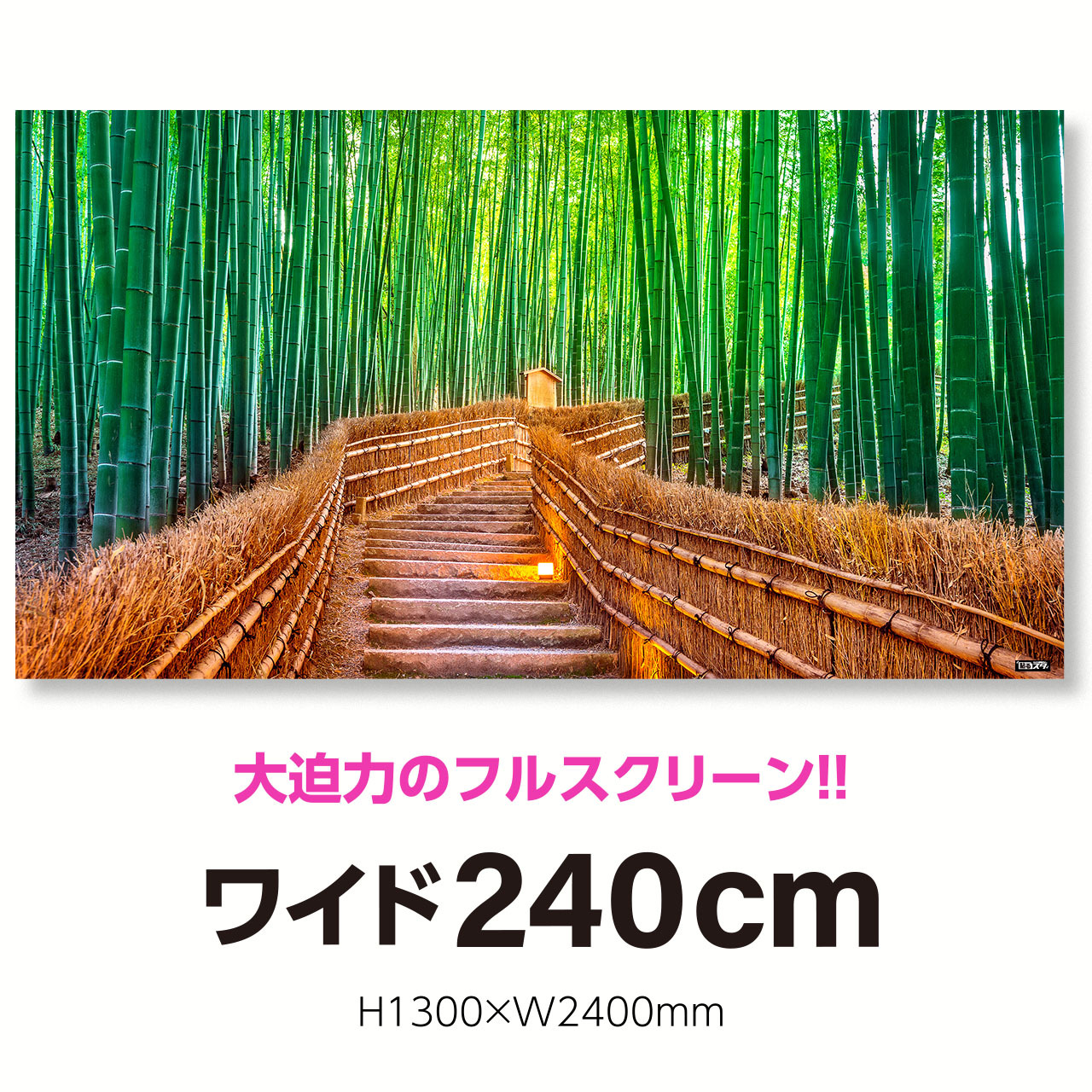 Nj 036l 超ワイド240cm H1300 W2400mm 自然 風景 日本の景色 嵐山の竹林 京都 はがせるシール付き 貼るだけでスタジオ気分 テレワーク 撮影用 壁紙ポスター 貼るスタ