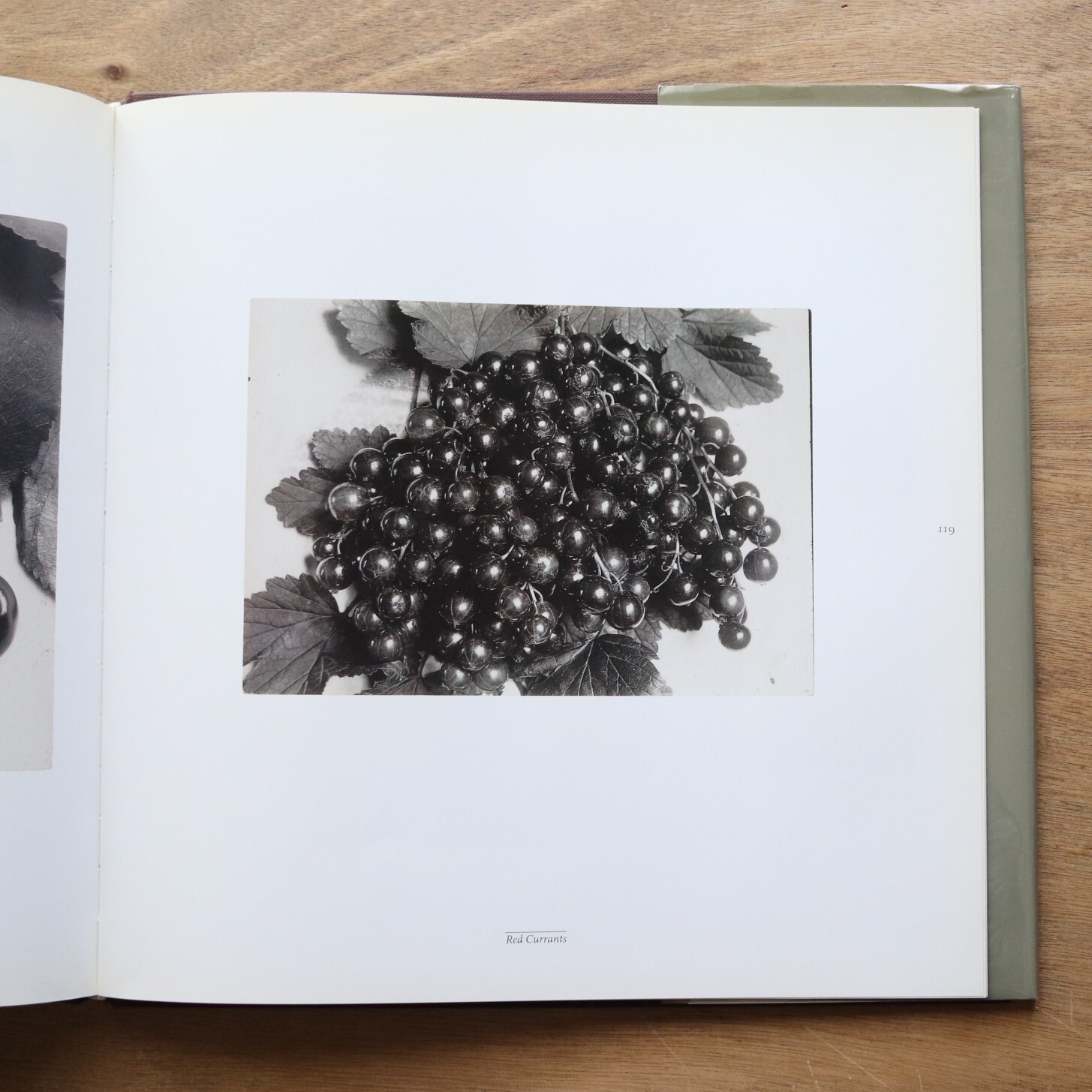 The Plant Kingdoms Of Charles Jones Sean Sexton 本まるさんかくしかく