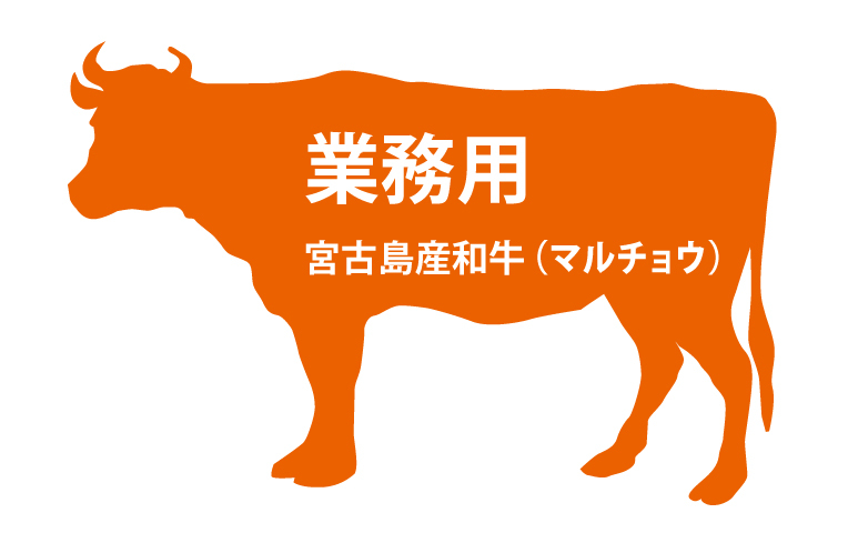 宮古牛ホルモン マルチョウ 小腸 11 2kg 業務用 下処理 カット無し フジ冷凍食品 宮古牛ホルモン マルチョウ 小腸 11 2kg 業務用 下処理 カット無し フジ冷凍食品