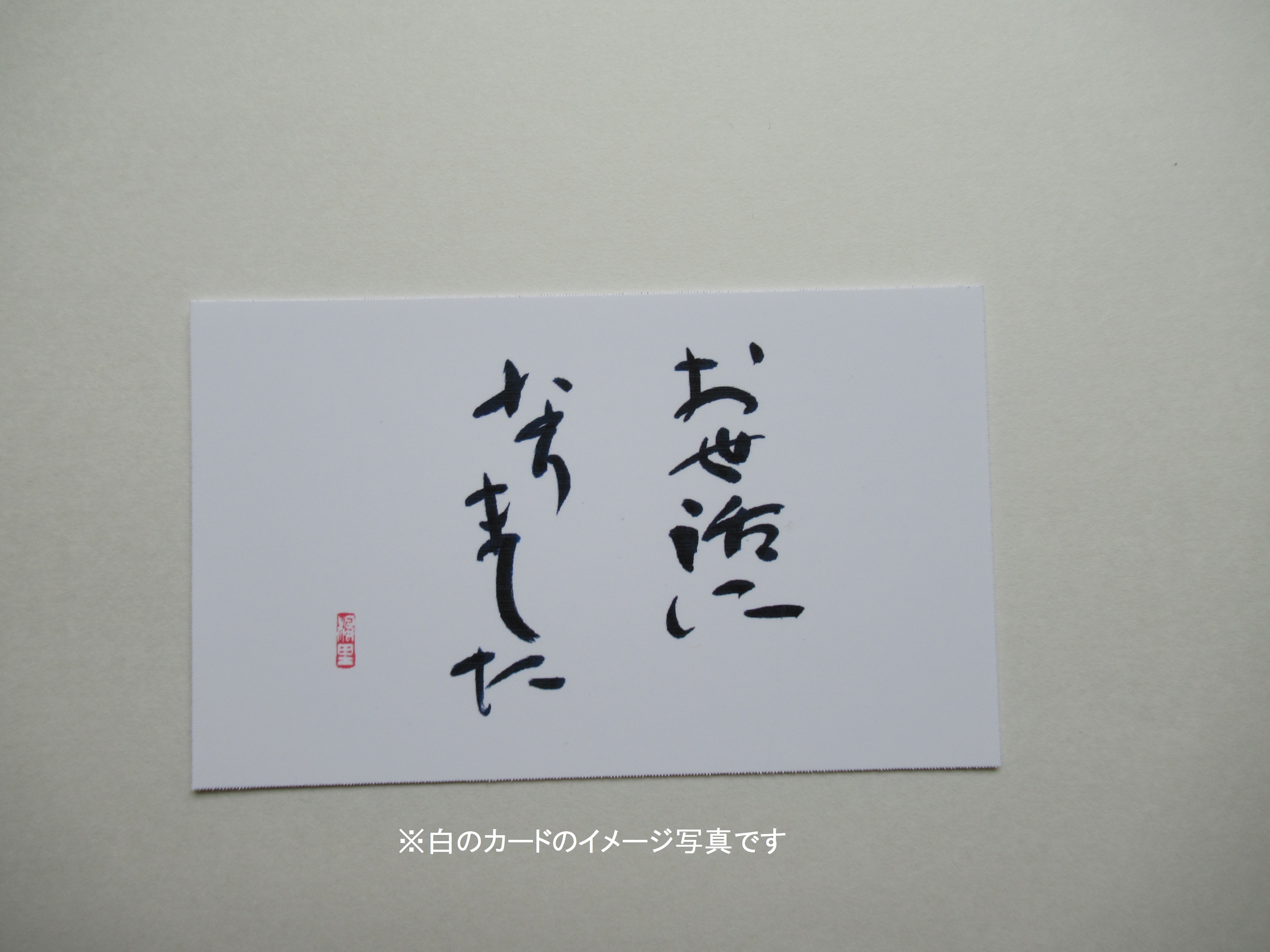 メッセージカード10種類 白地 封筒なし 楓里ショップ フォト書 書はがき 楓里 スカーフ