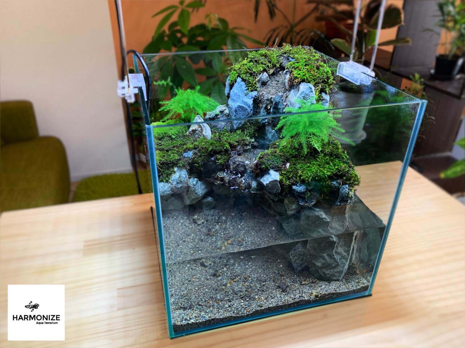 30cmキューブ水槽 アクアテラリウム 完成品 HARMONIZE