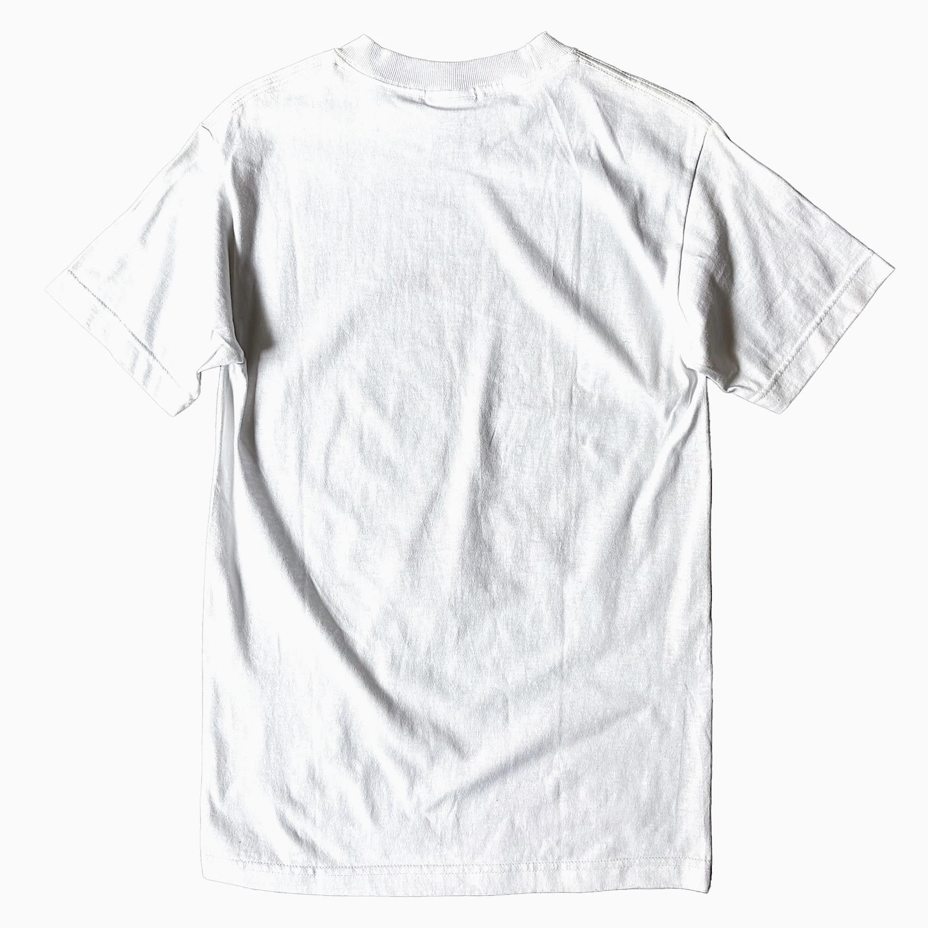 Vintage 90's【ALSTYLE APPAREL & ACTIVEWEAR】"LEONARDO Da Vinci" T-shirt の画像 2