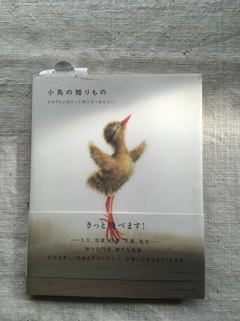 『小鳥の贈り物』ビルッコ・ヴァイニーオ著 - 画像1