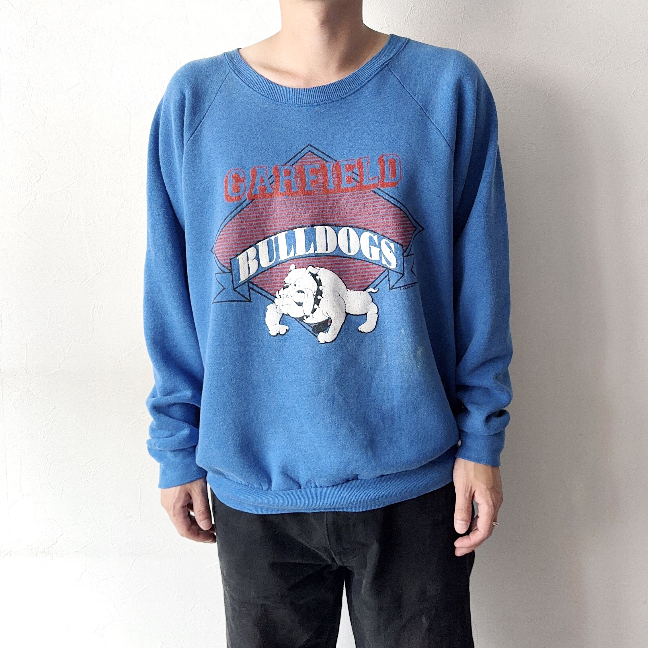 Vintage 90's【FRUIT OF THE LOOM】"GARFIELD BULLDOGS" Sweat の画像 3